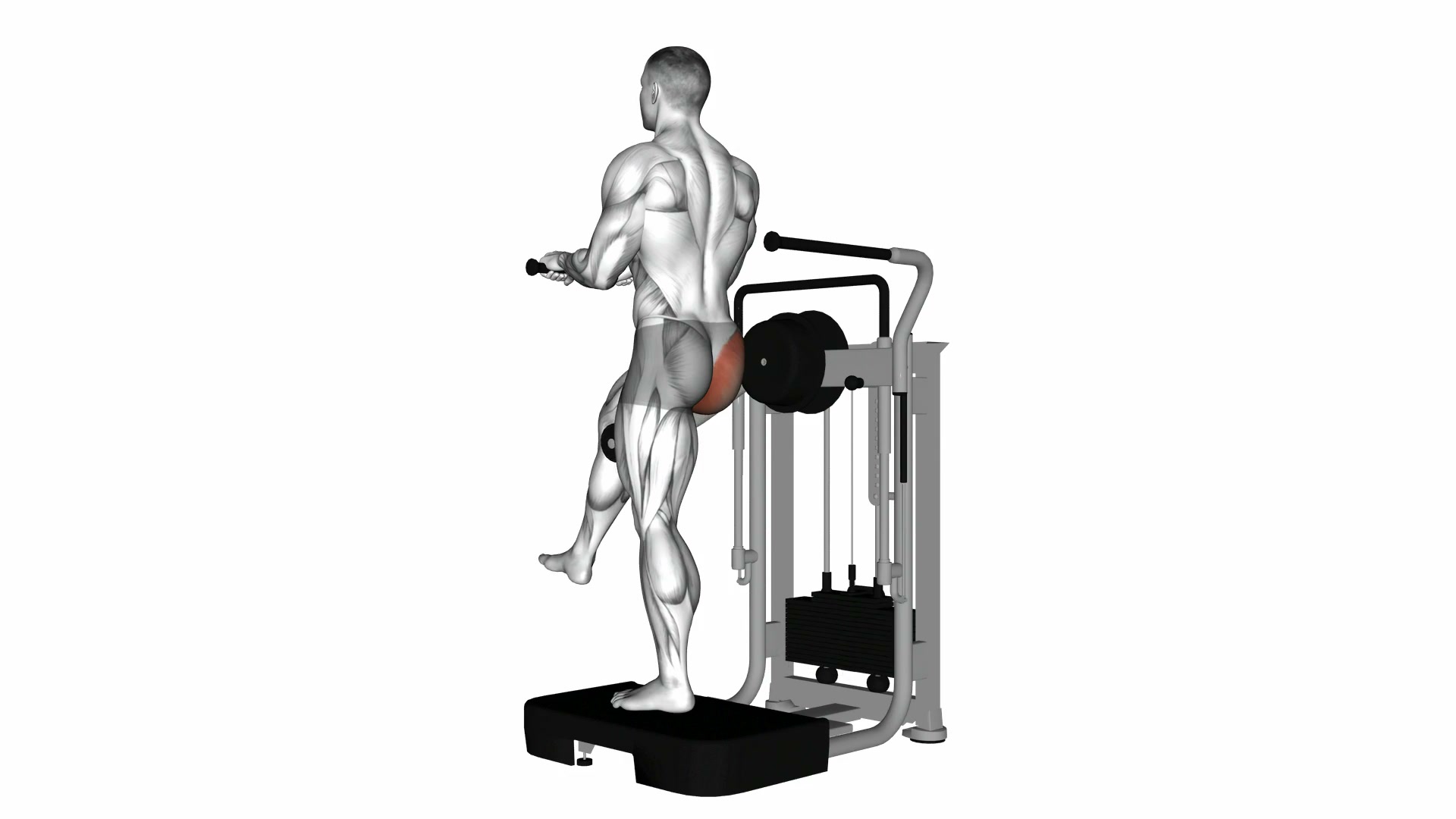 Lever Standing Rear Kick demo