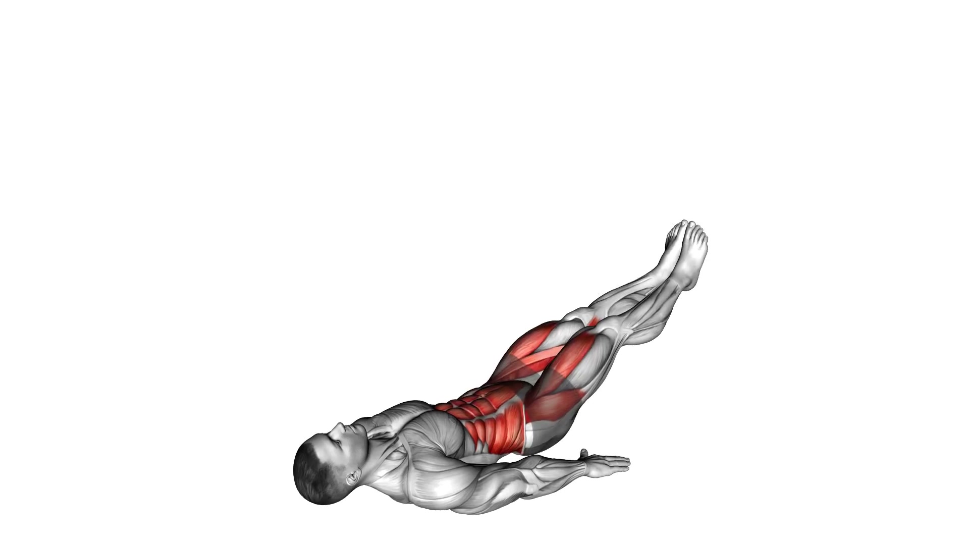 Lying Leg Raise demo