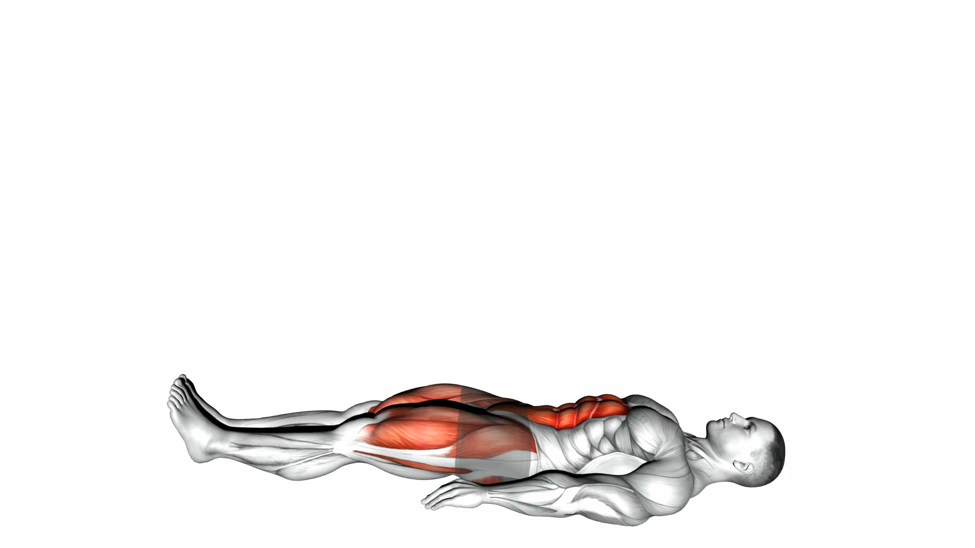 Lying Straight Leg Raise demo