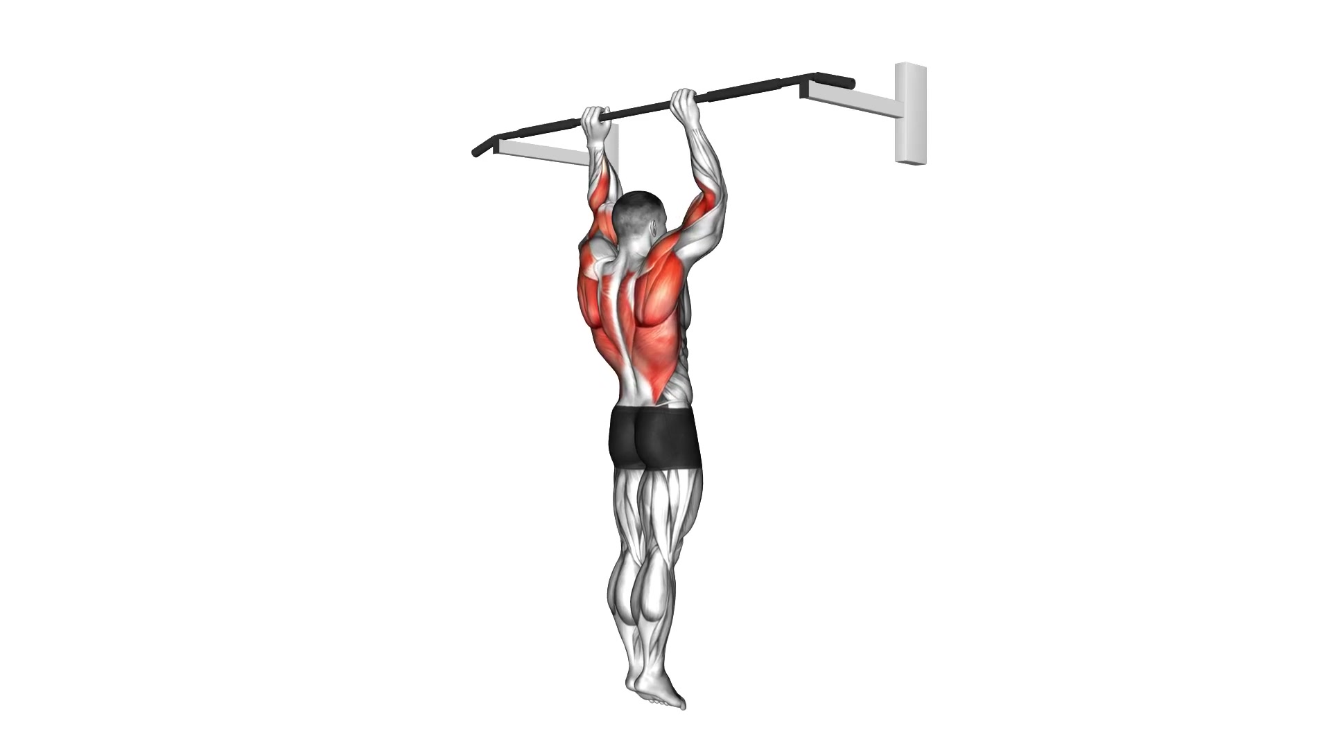 Shoulder-Width Pull-Up demo