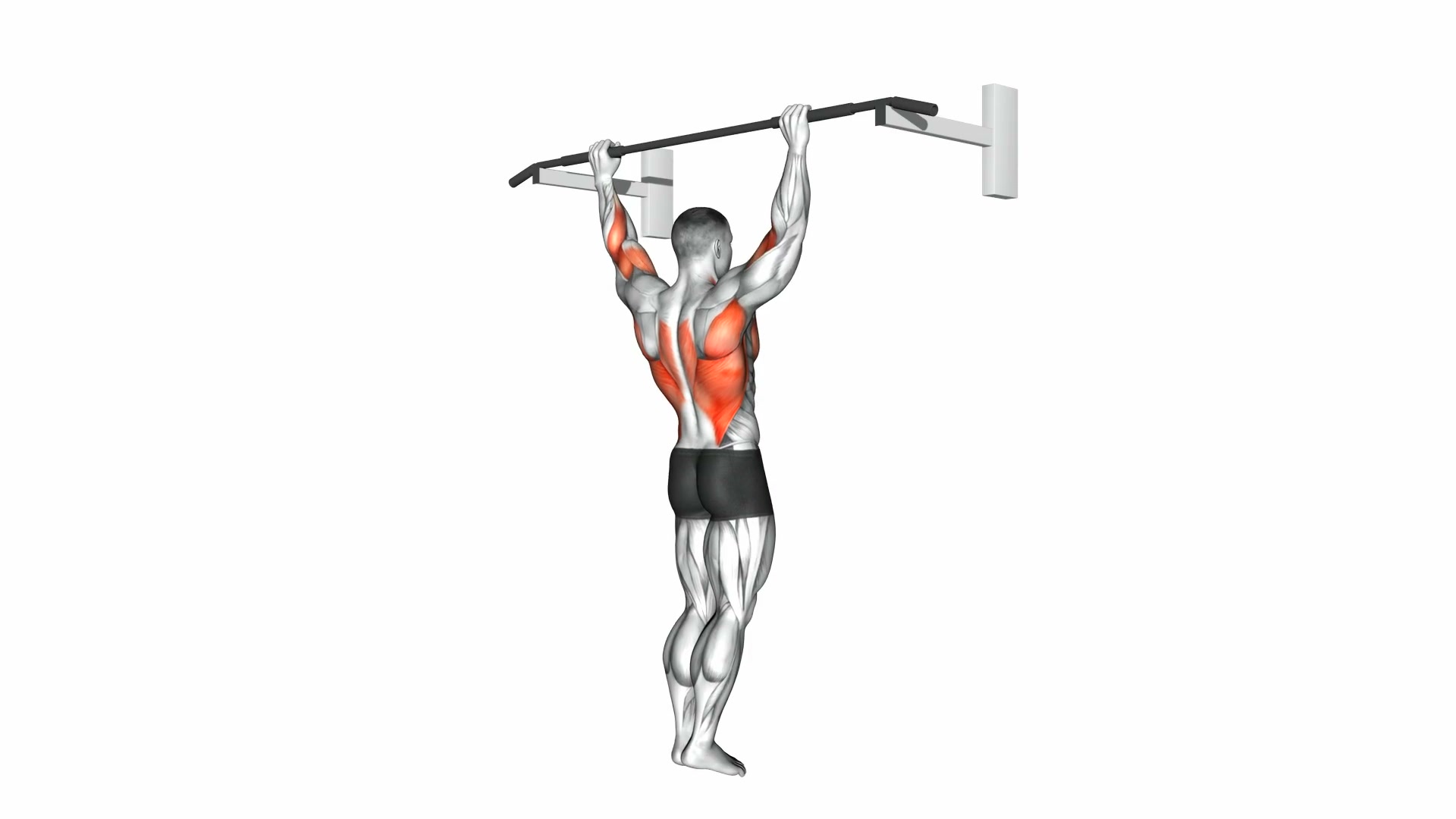 Pull-Up (Wide Grip) demo