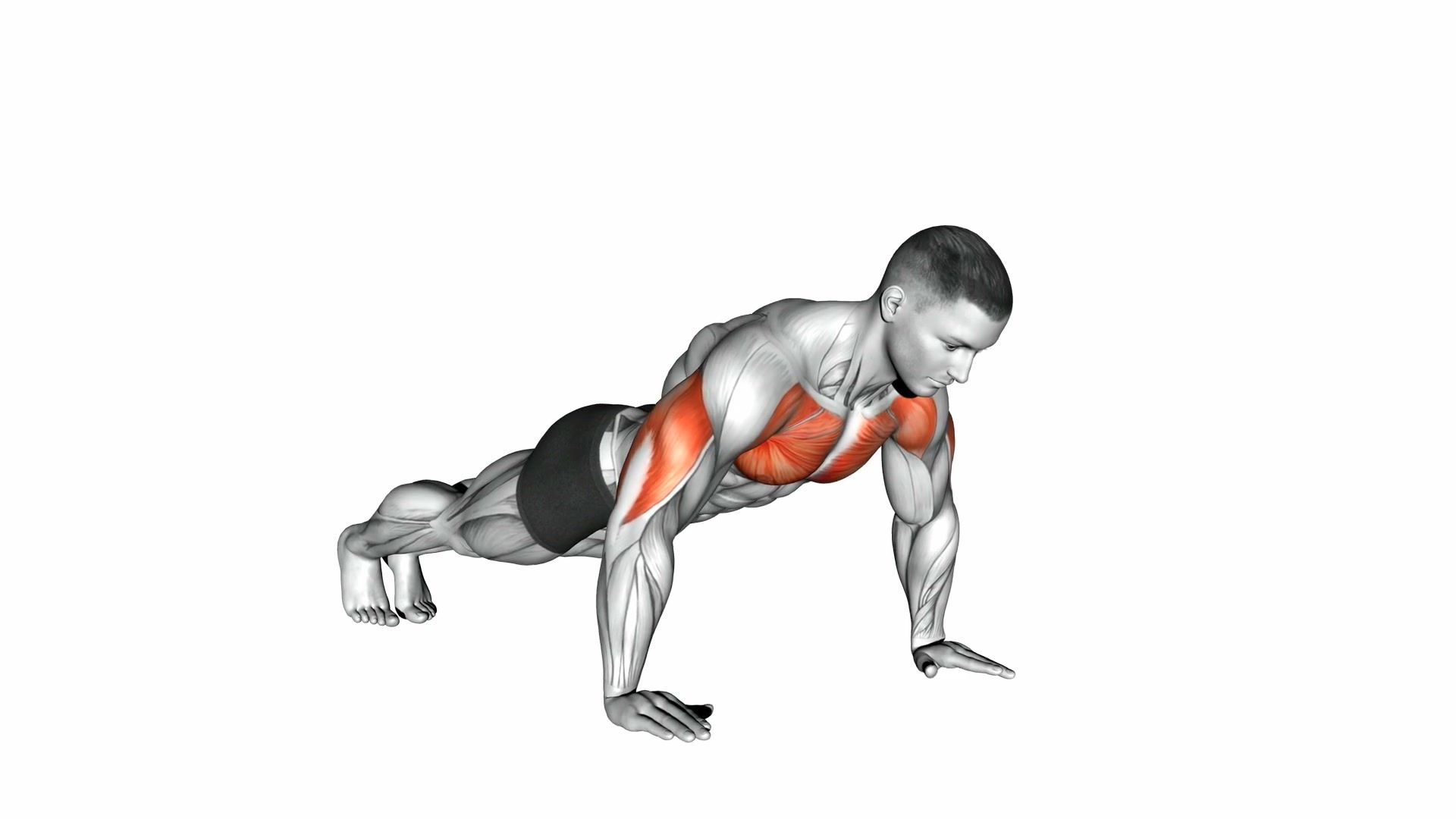 Push-Up demo