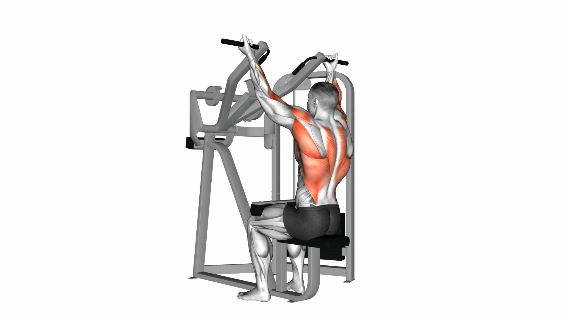 Reverse Grip Machine Lat Pulldown demo