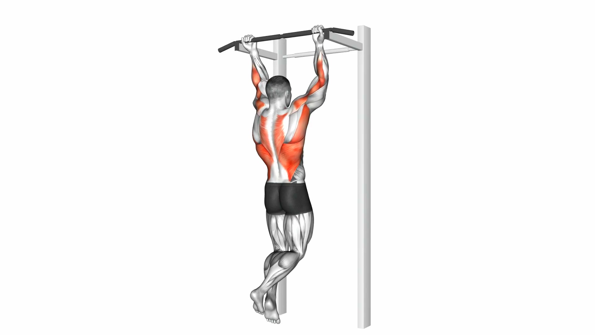 Reverse Grip Pull-Up demo