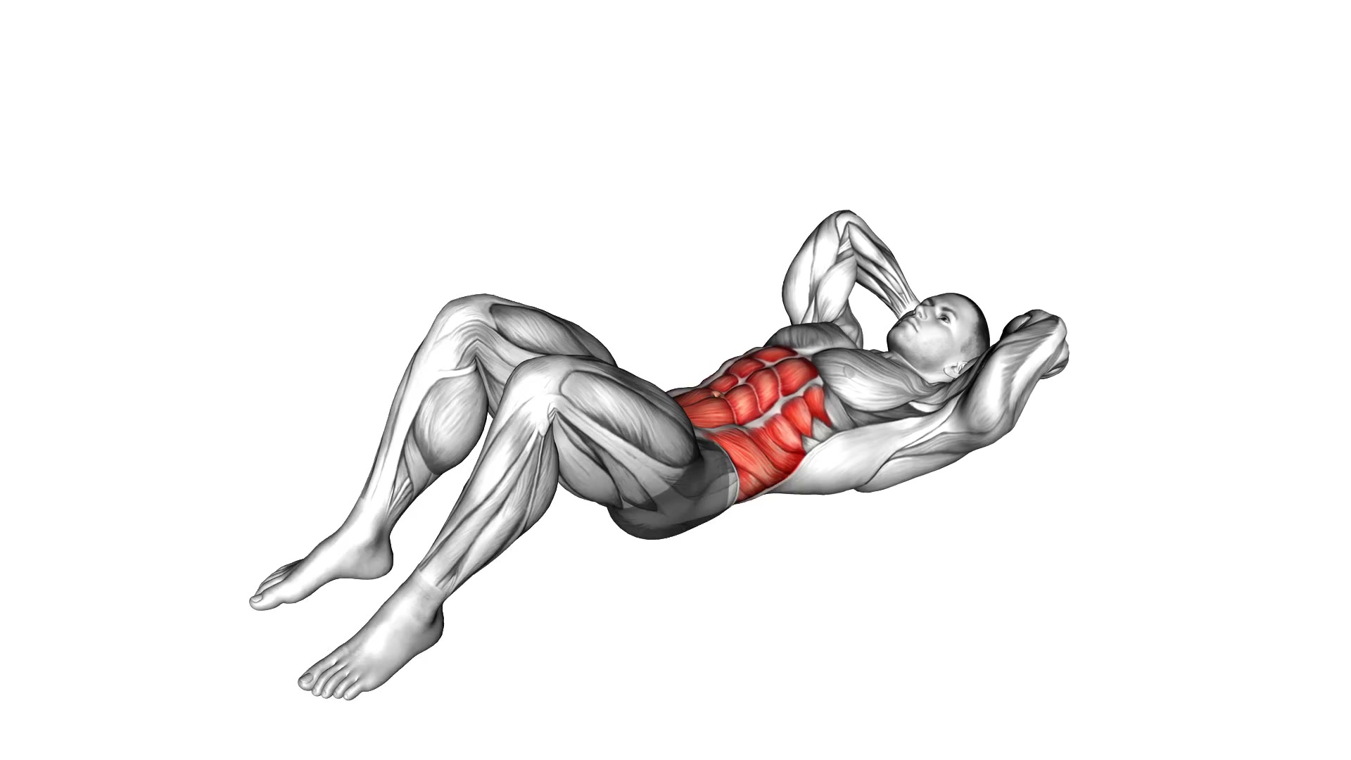 Sit-Up demo