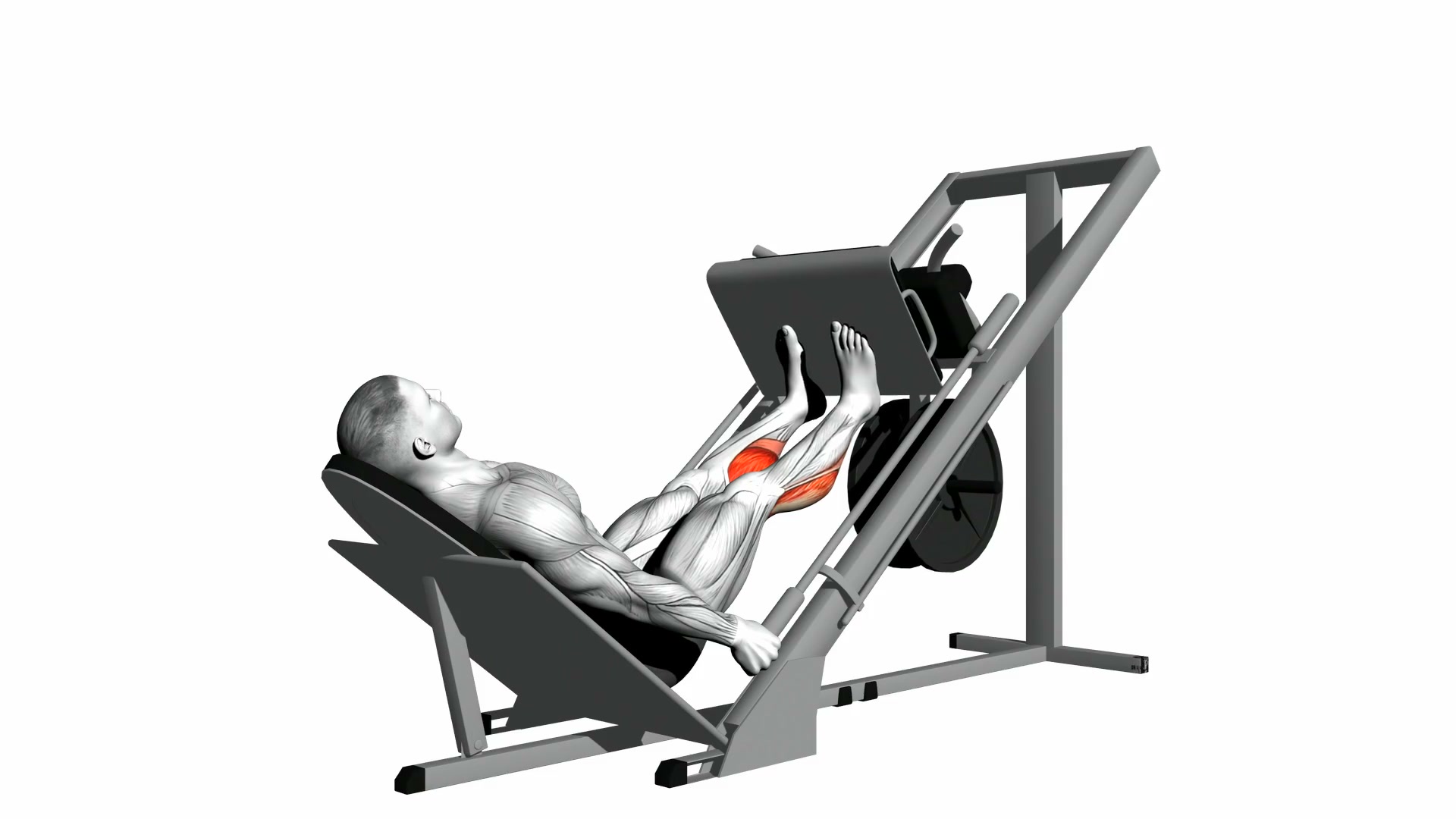 Sled 45 Degree Calf Press demo