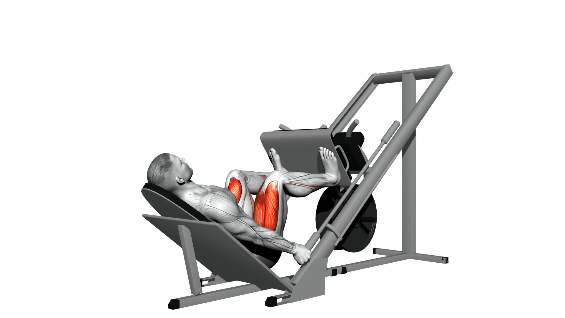 Sled 45 Degree Wide Leg Press demo