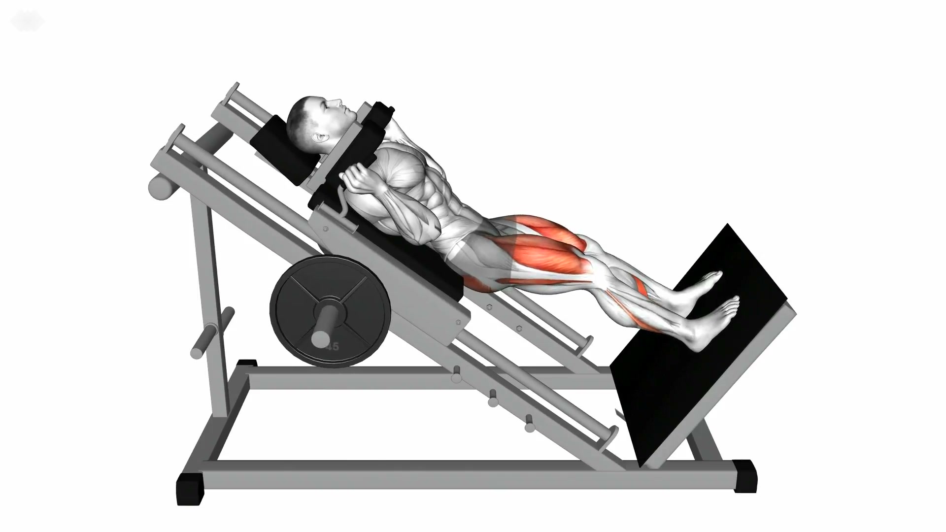 Sled Hack Squat demo