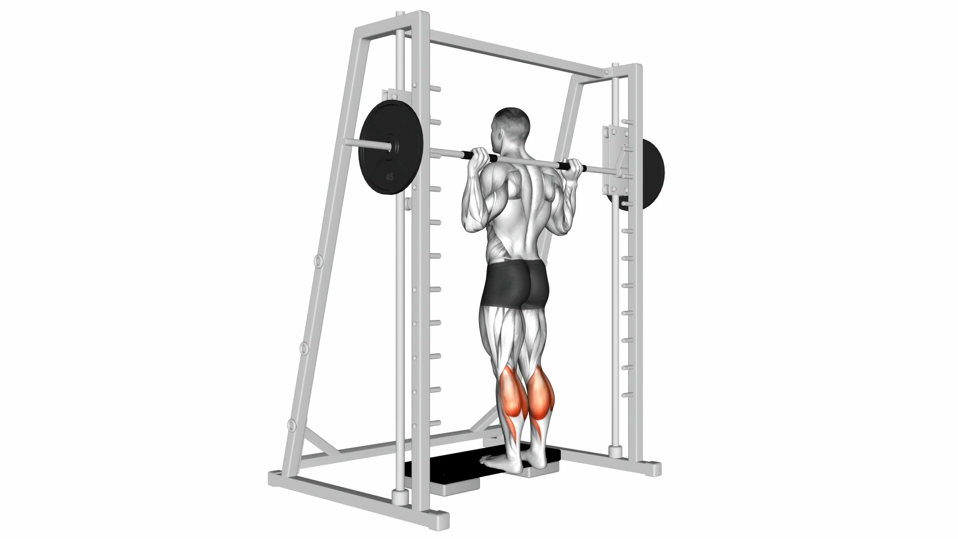 Smith Machine Calf Raise demo