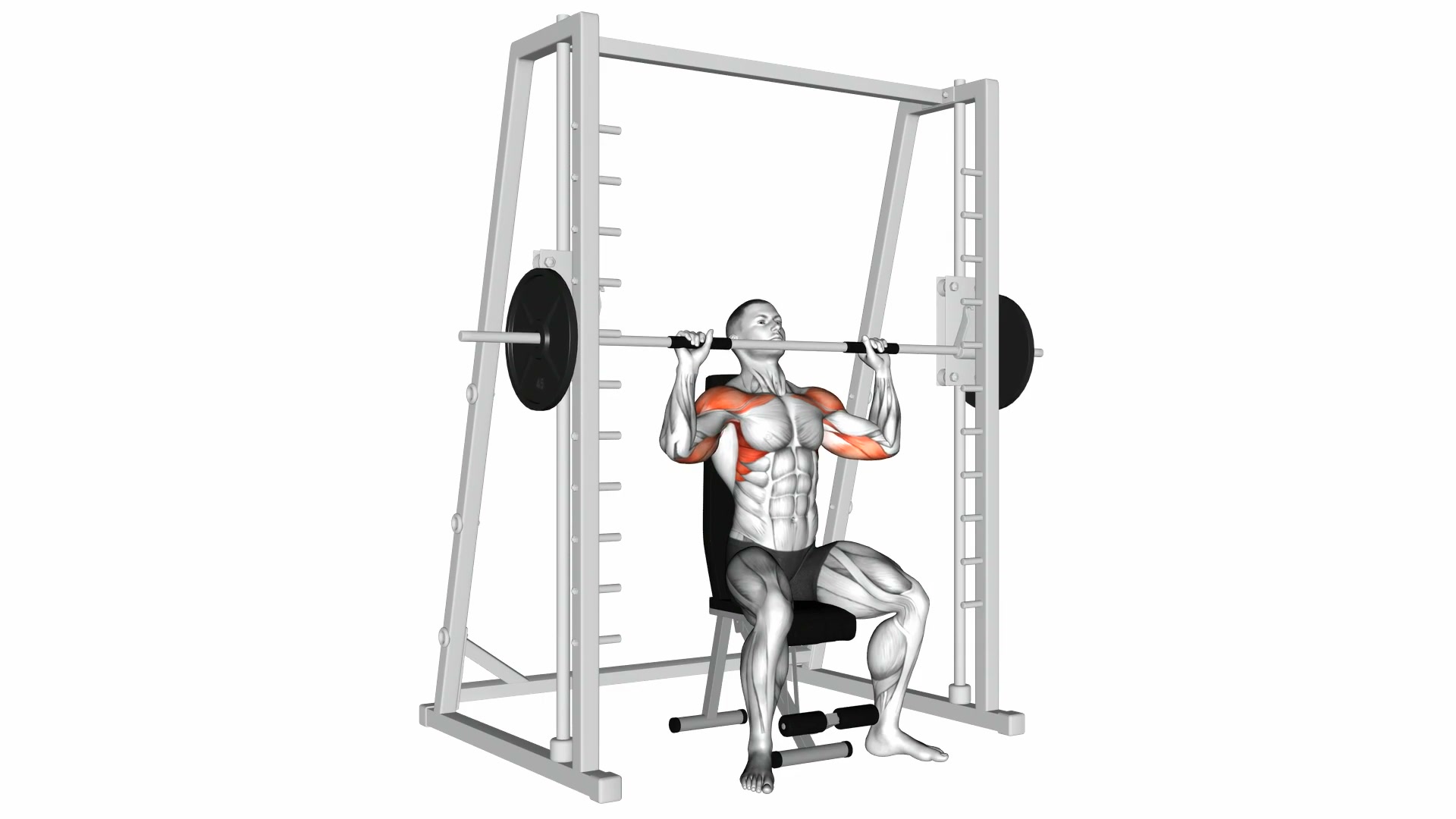 Smith Seated Shoulder Press demo
