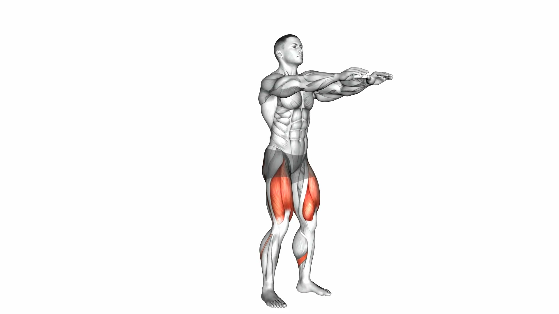 Squat demo