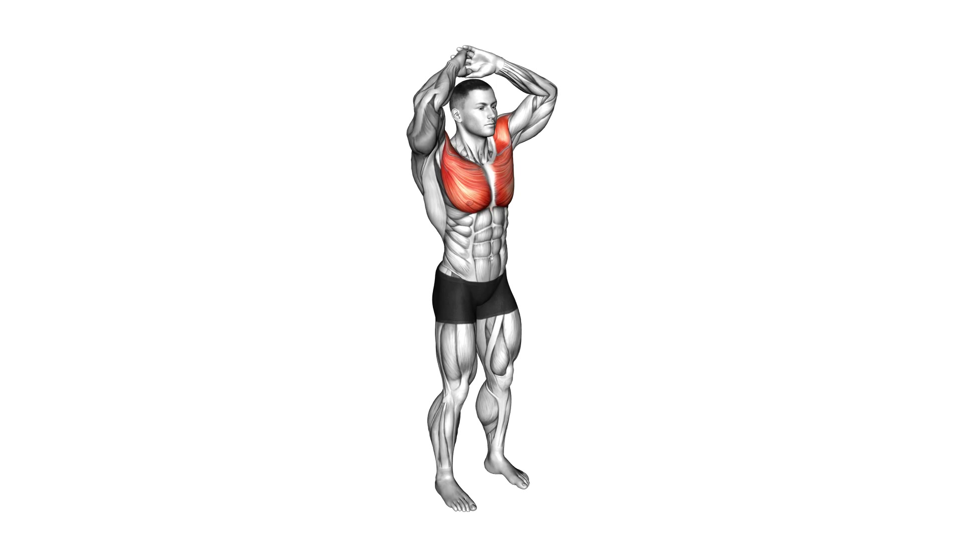 Overhead Chest Stretch demo