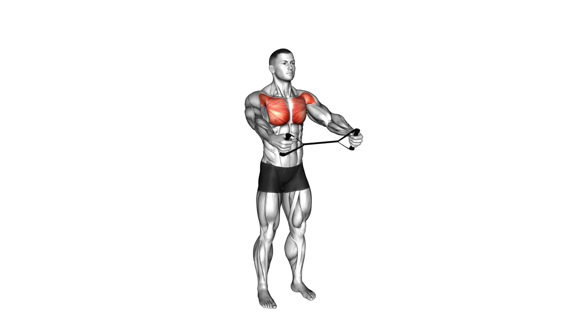 Band Shoulder Warm-Up Stretch