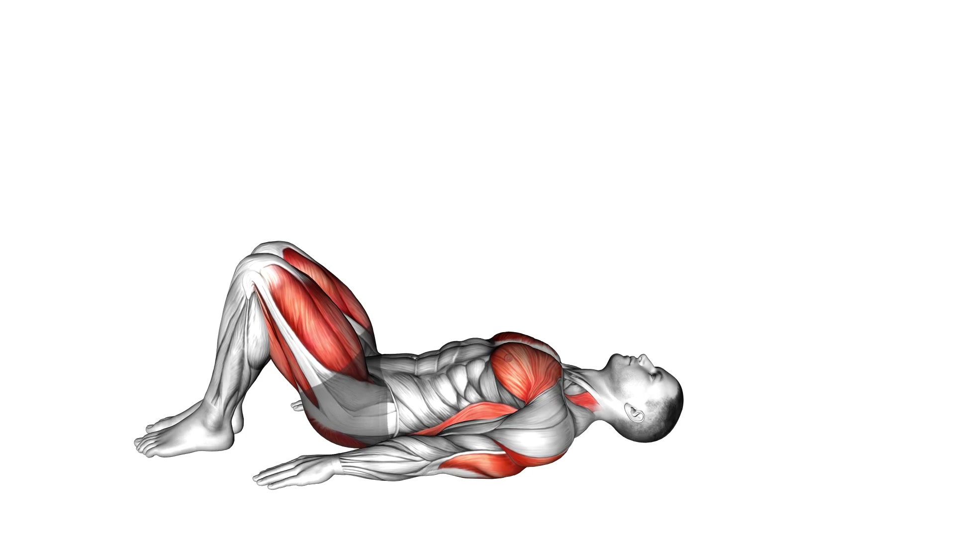 Bridge Pose (Setu Bandhasana) demo