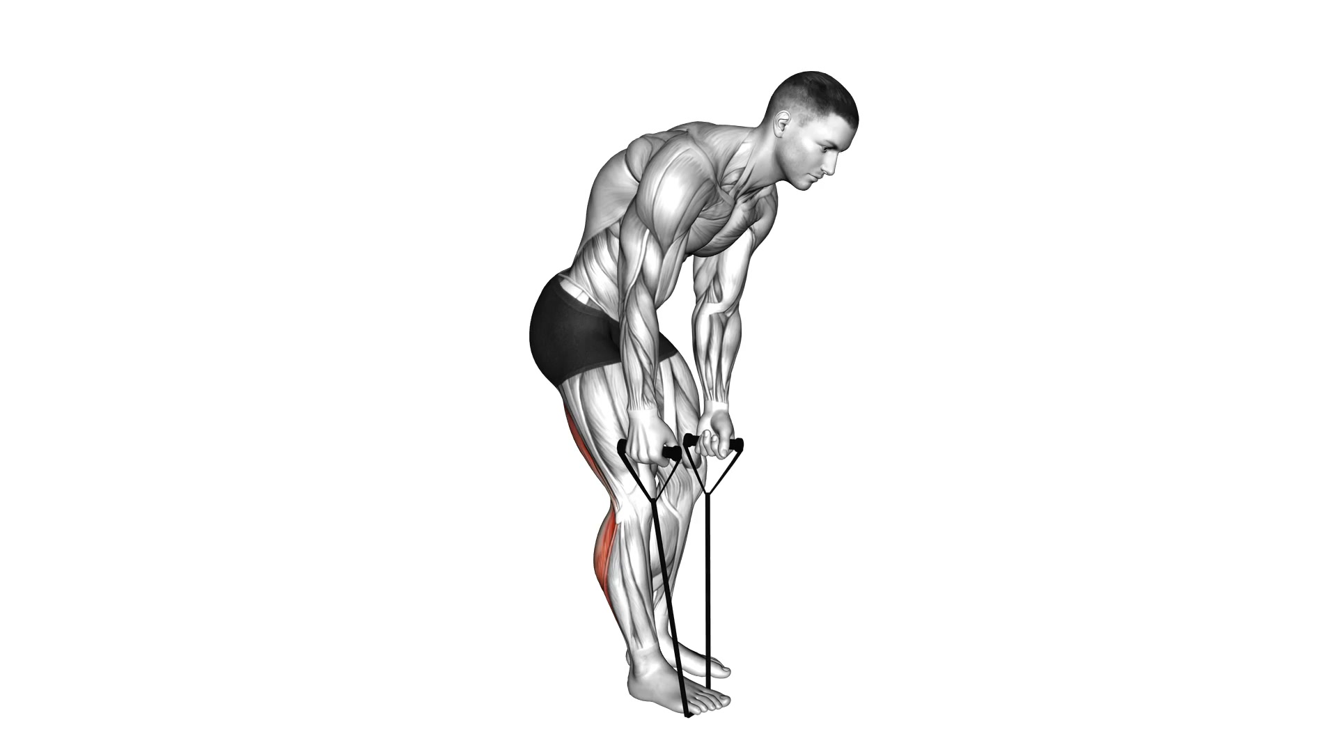 Calf Stretch with Strap demo