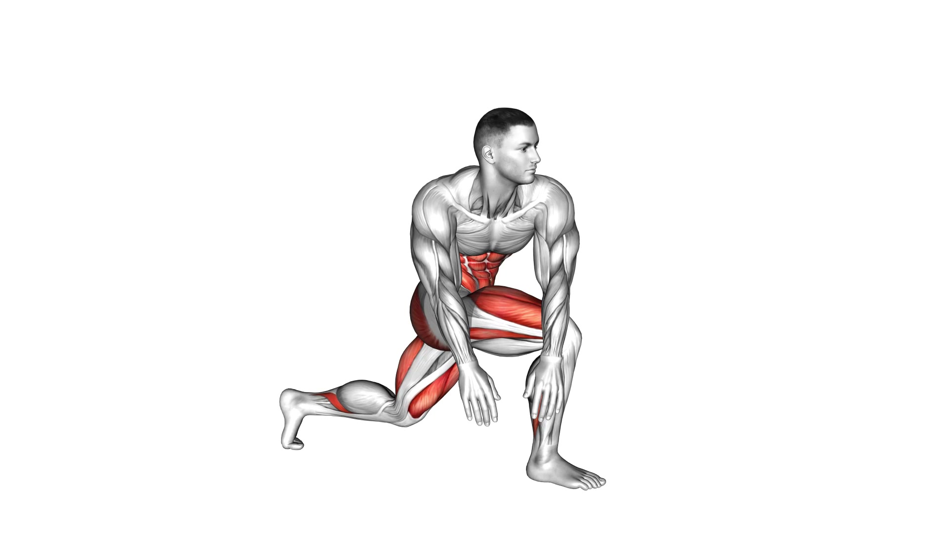 Crossover Kneeling Hip Flexor Stretch demo