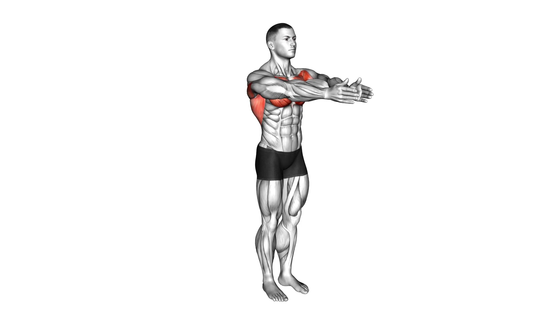Dynamic Chest Stretch demo