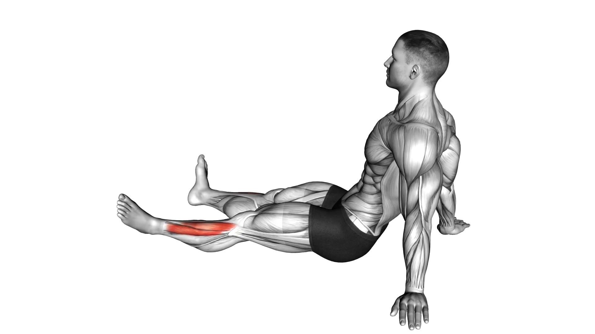 Feet and Ankles Rotation Stretch demo