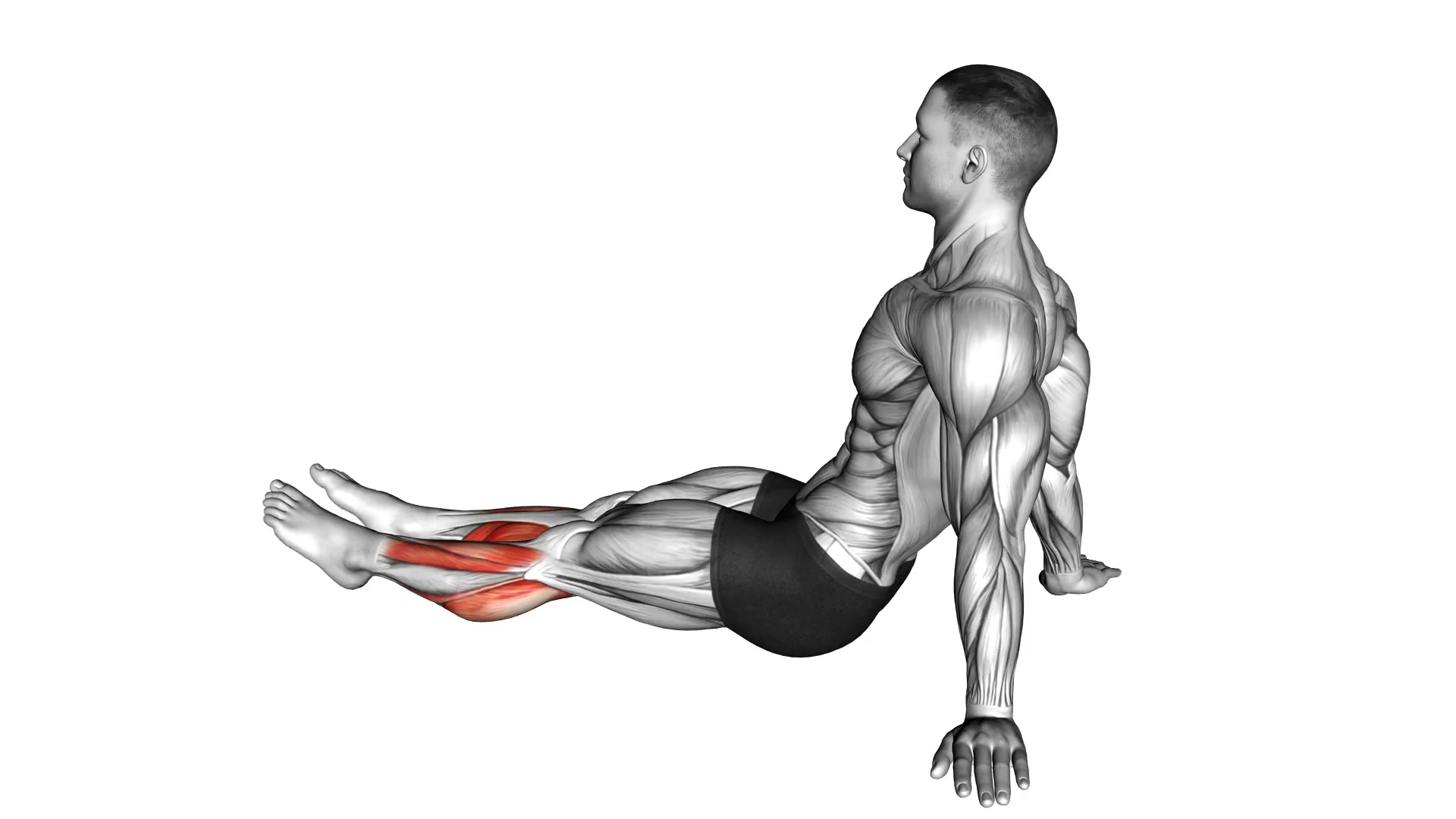 Feet and Ankles Stretch demo