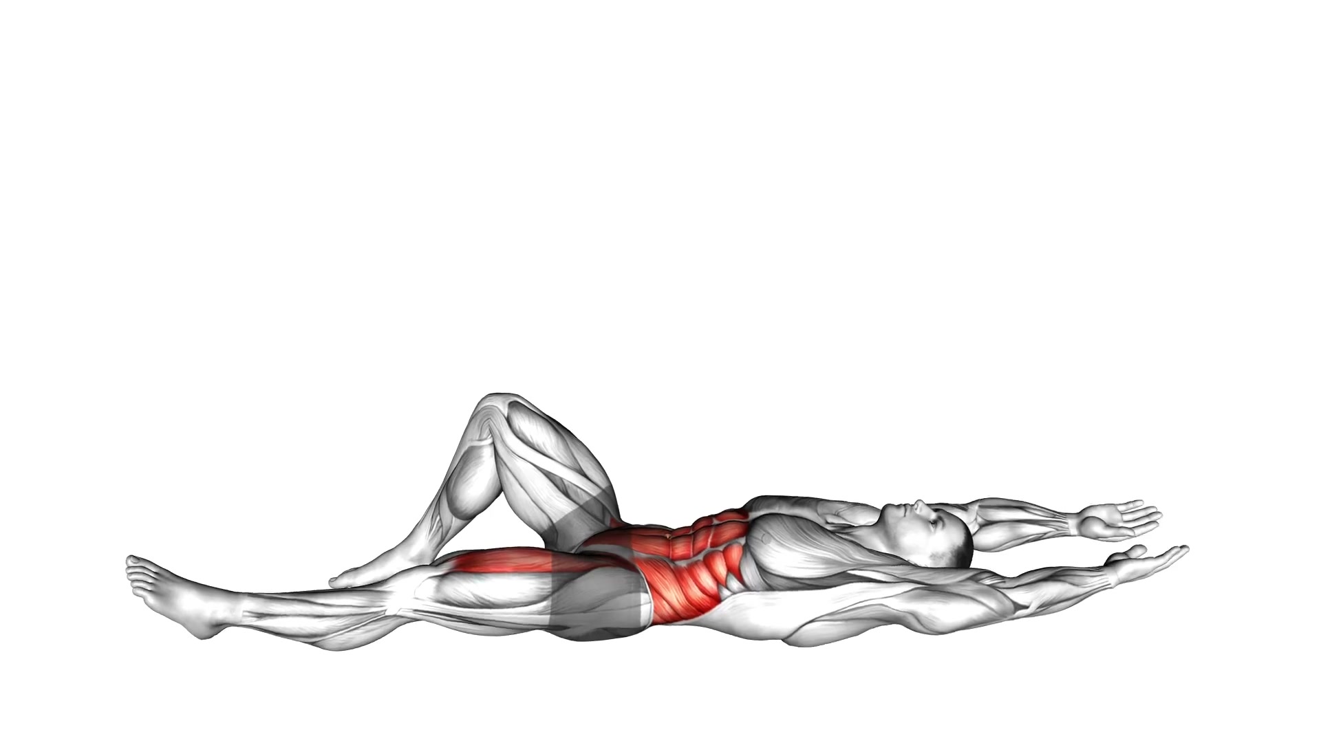 Flexion Leg Sit-Up Stretch demo