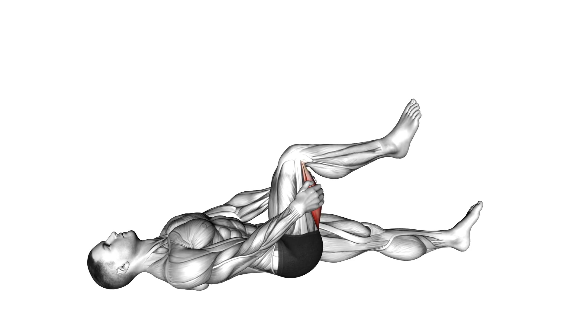 Standing Hamstring Stretch demo