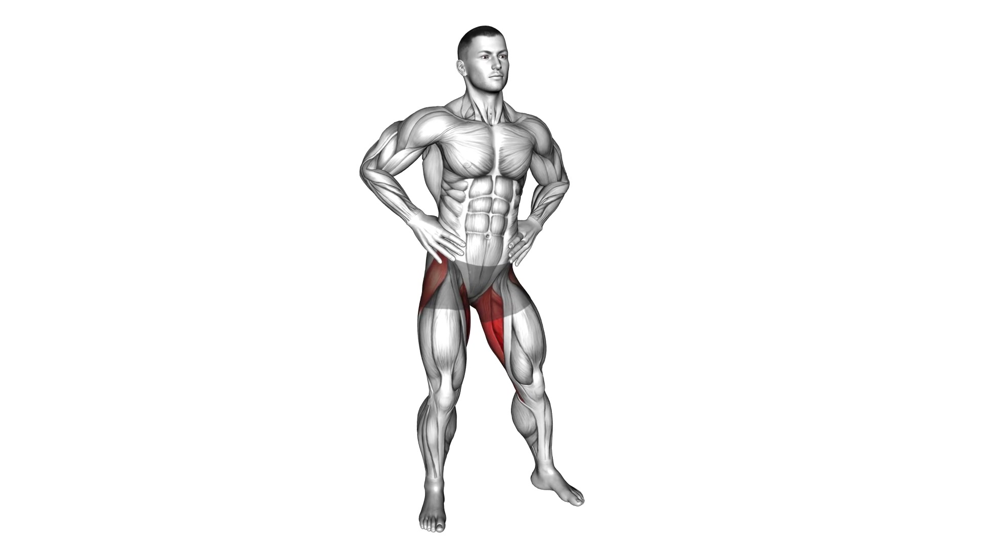 Hip Circles Stretch demo