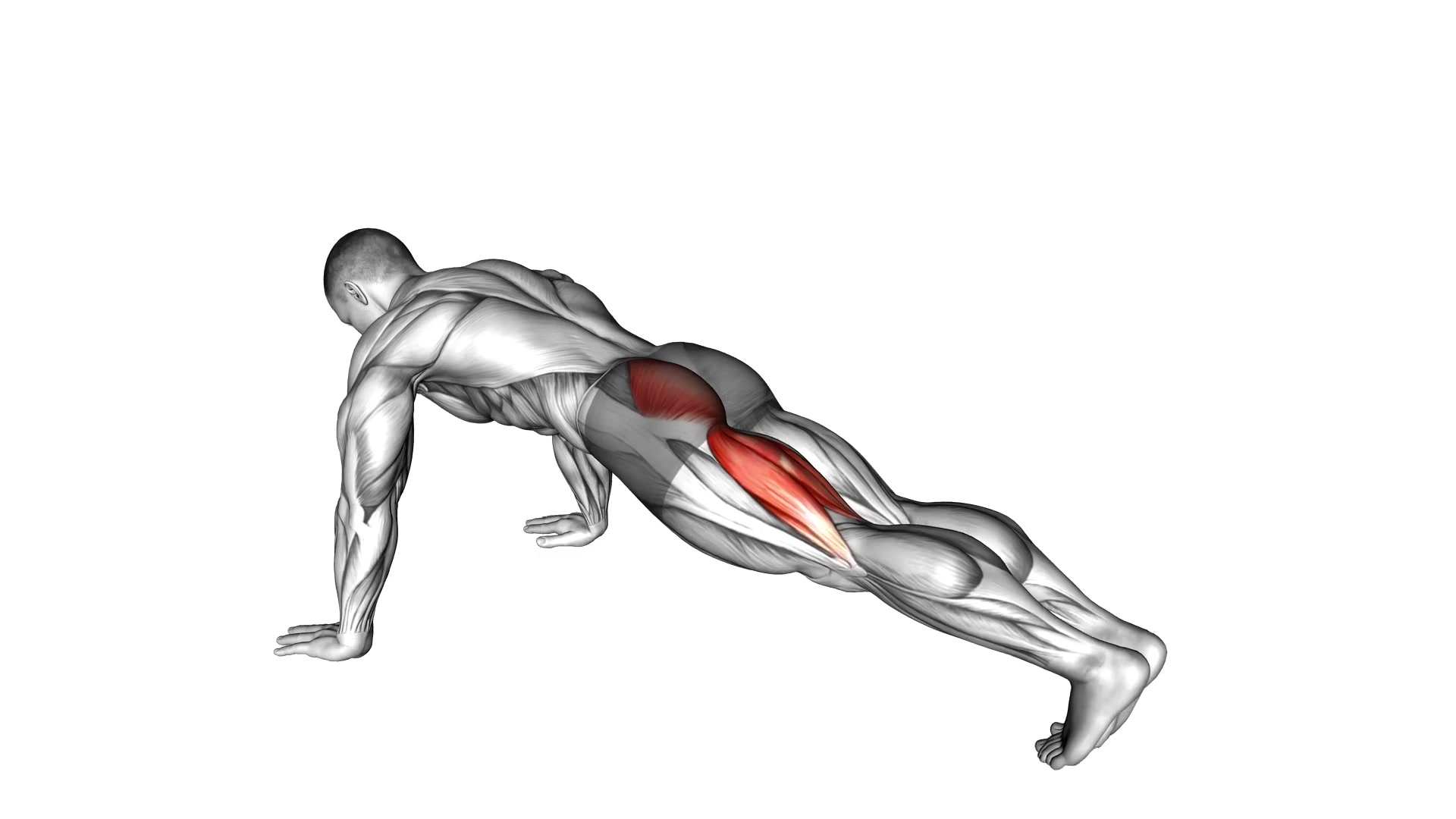 Hip Extension Stretch demo