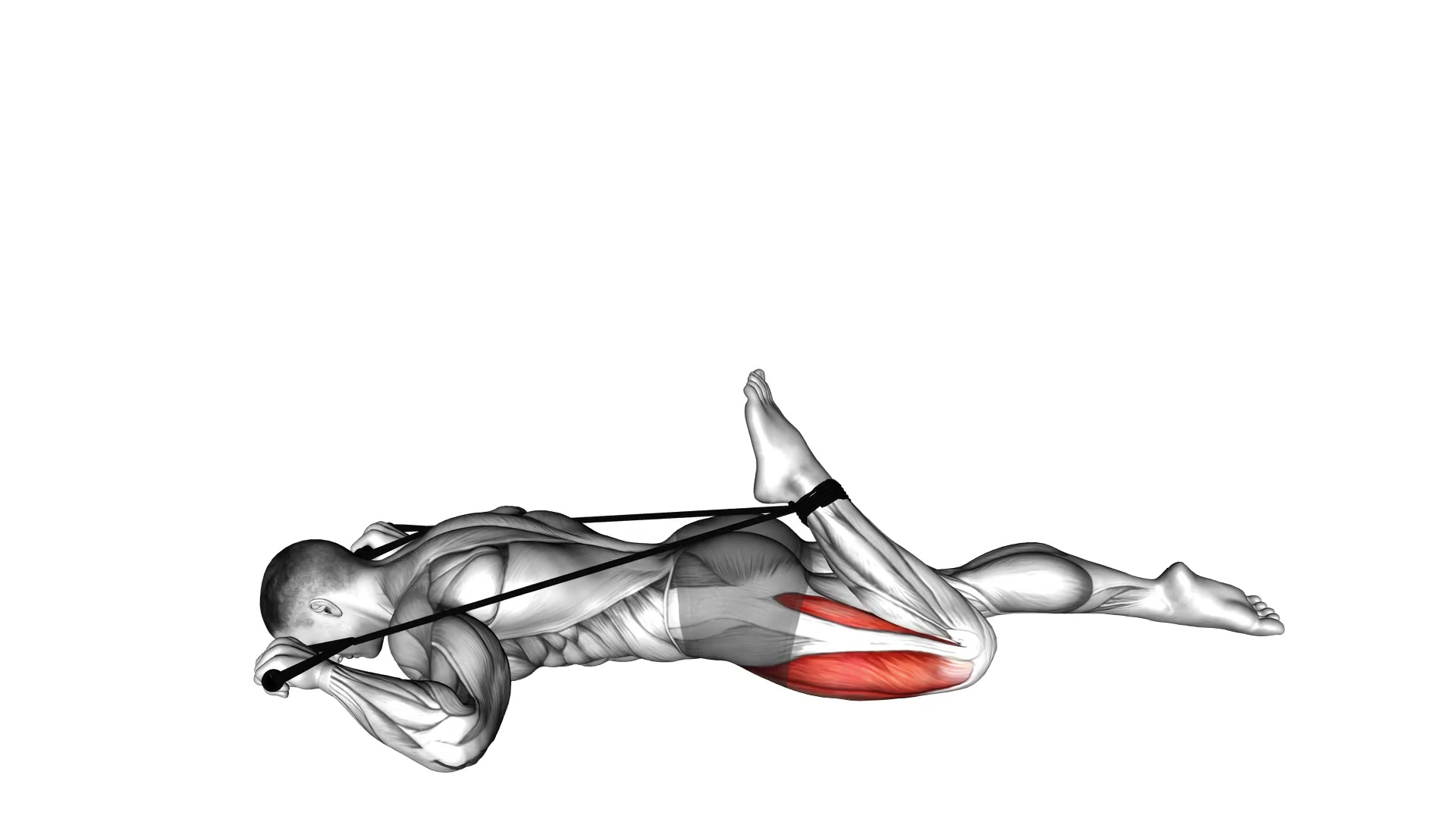 Hip Flexor and Quadriceps Stretch demo