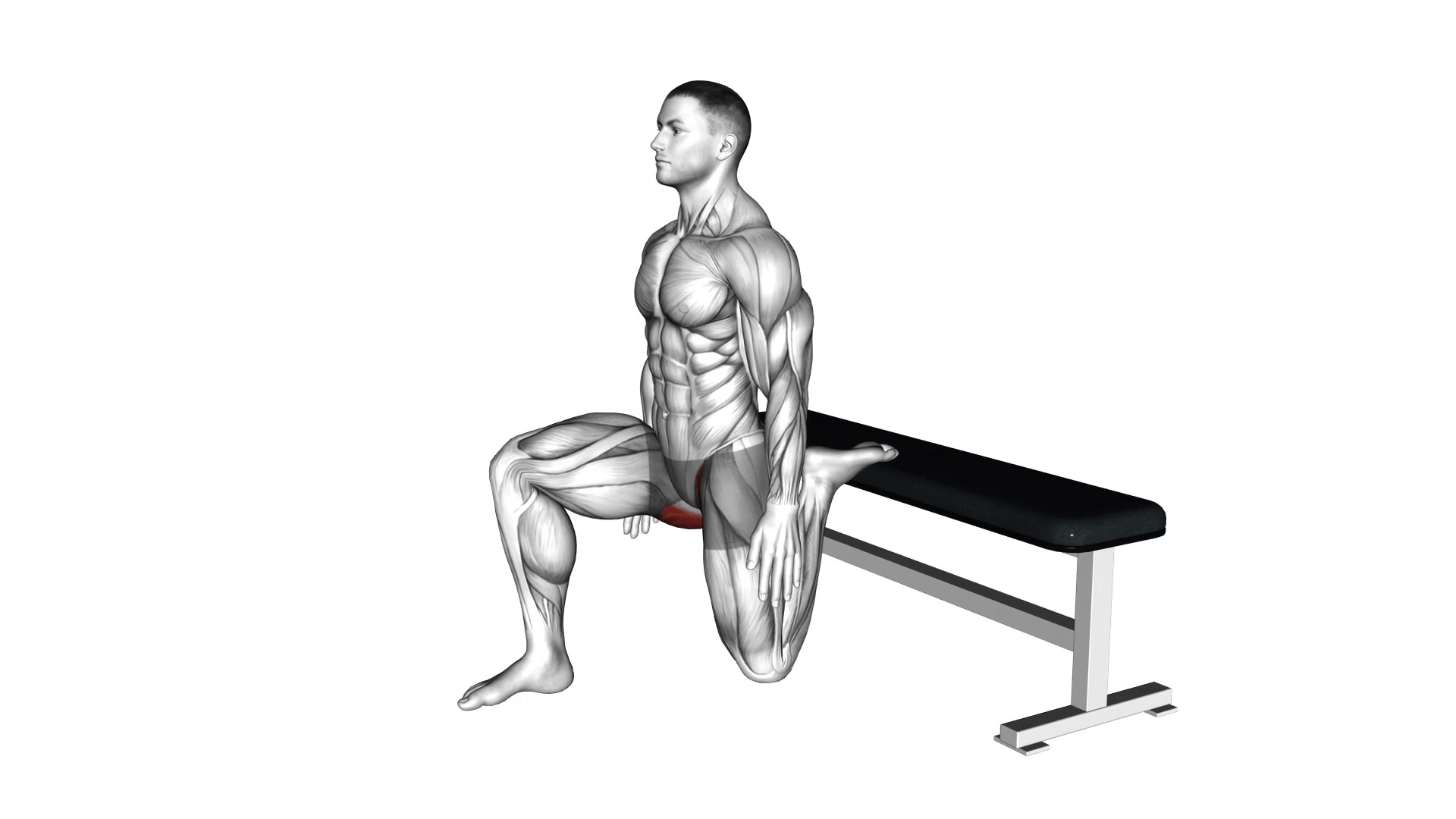 Rear Foot Elevated Hip Flexor Stretch demo