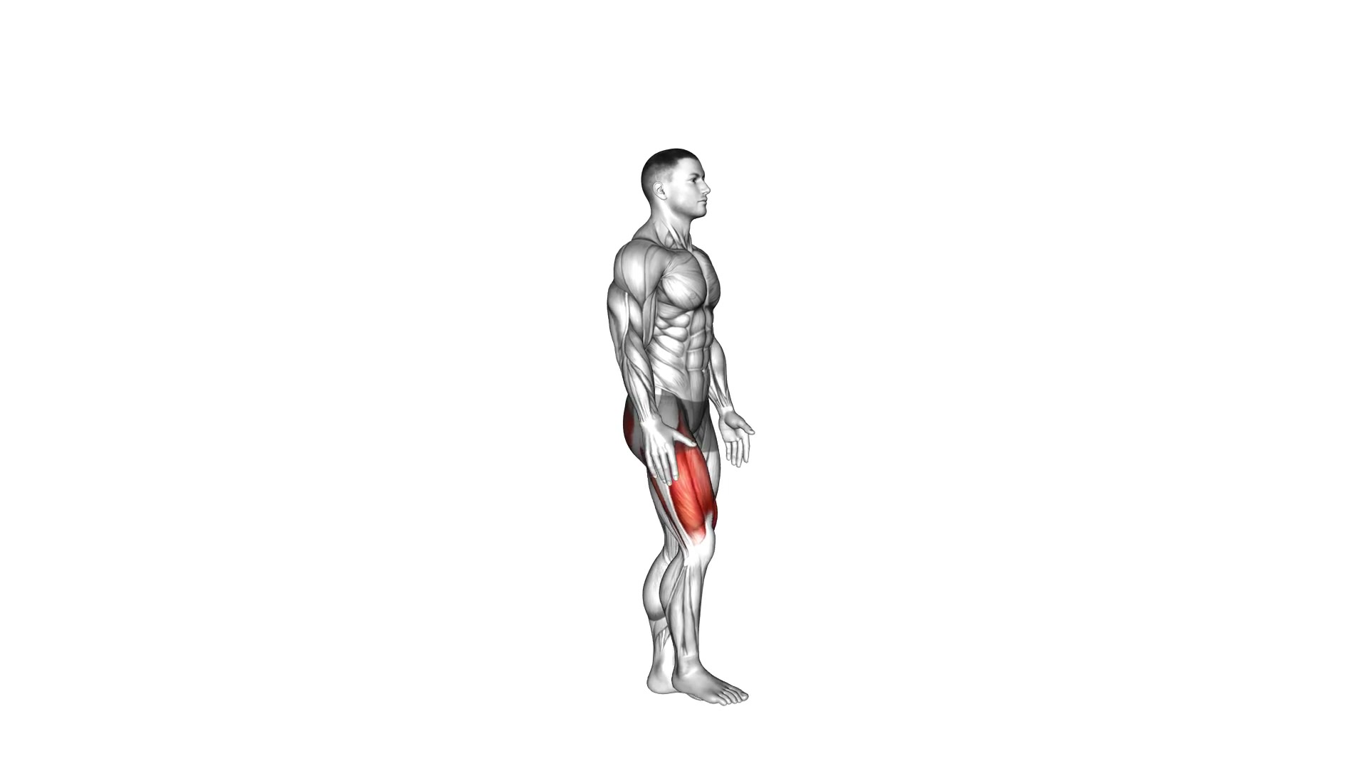 Standing Knee Raise Stretch demo