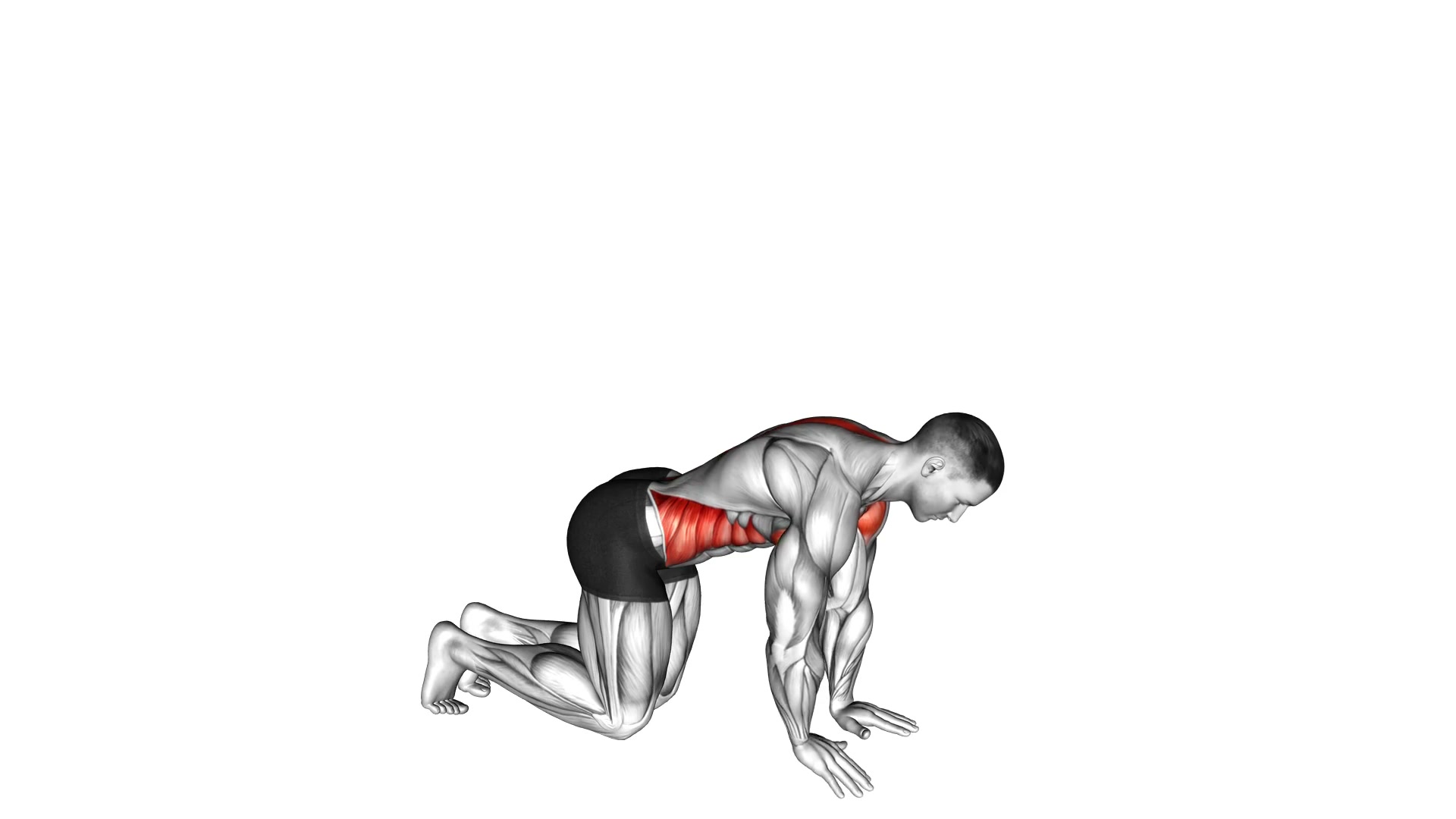 Kneeling Back Rotation Stretch demo