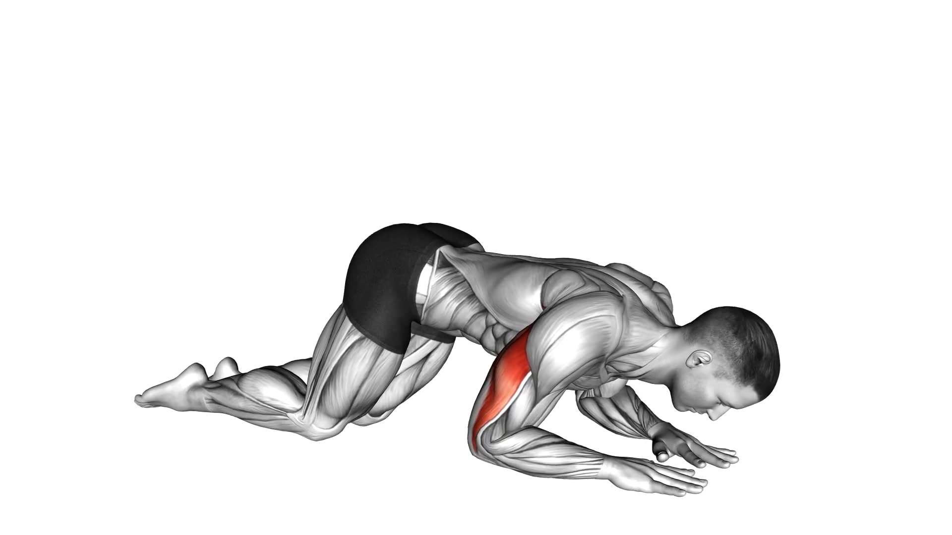 Kneeling Triceps Stretch demo
