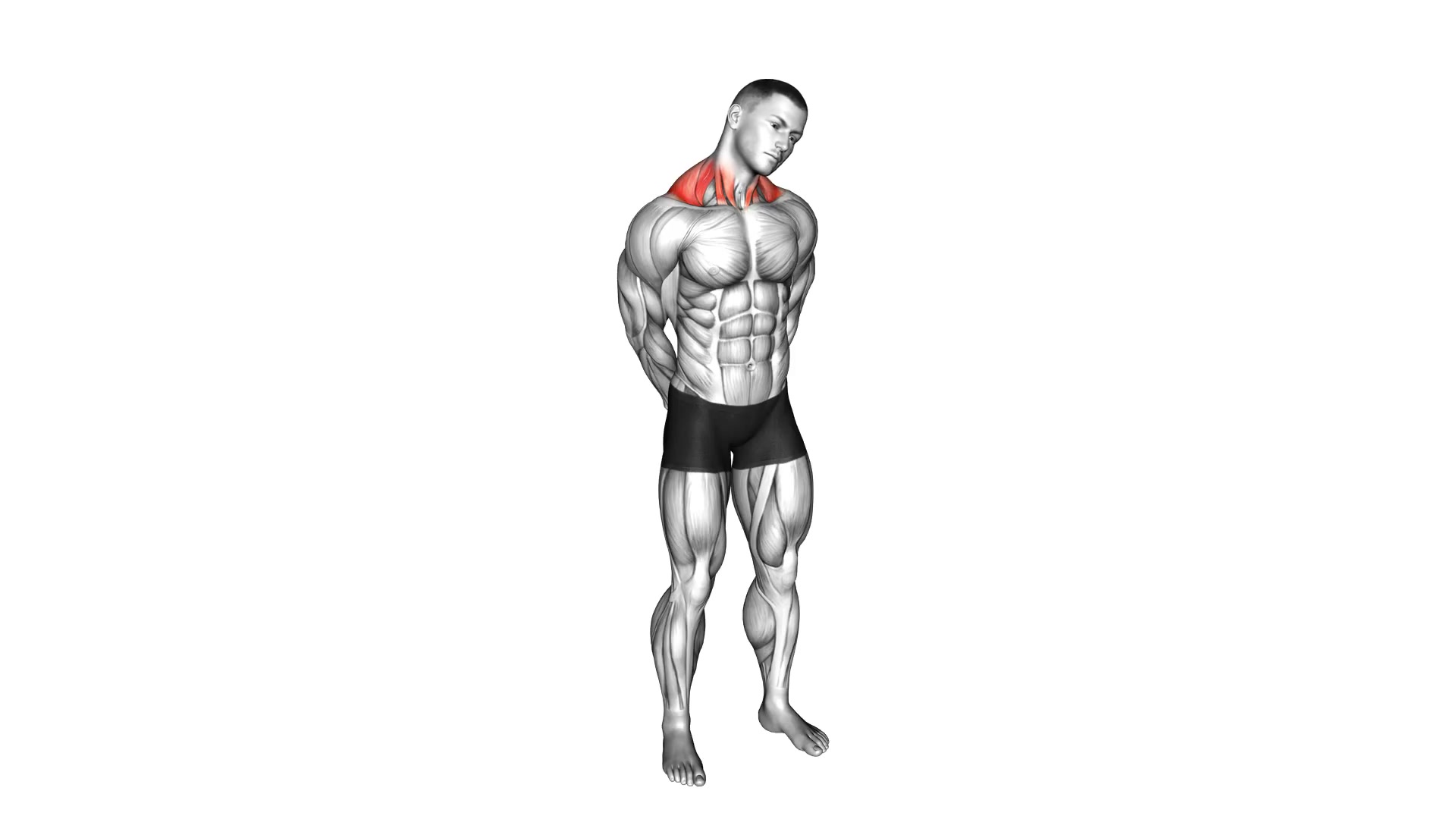 Neck Side Stretch demo