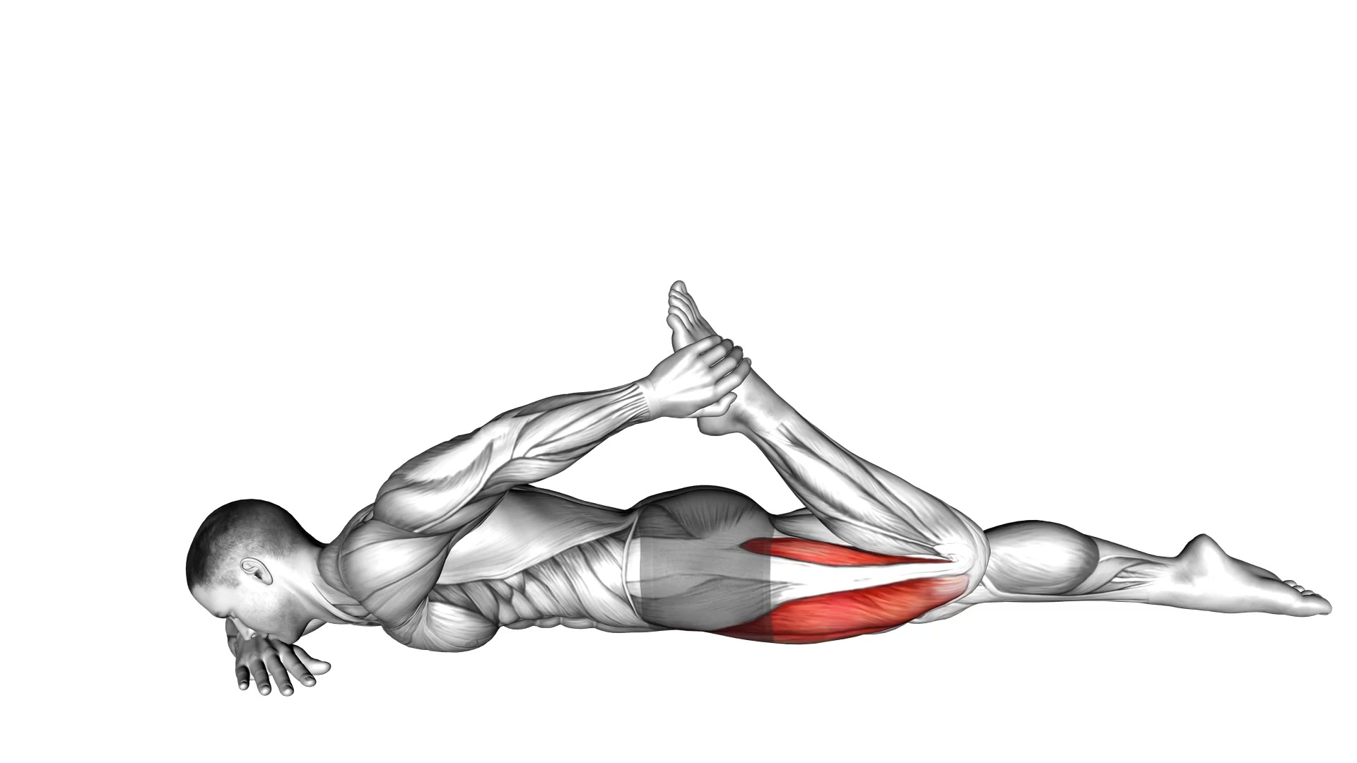Lying Quadriceps Stretch demo