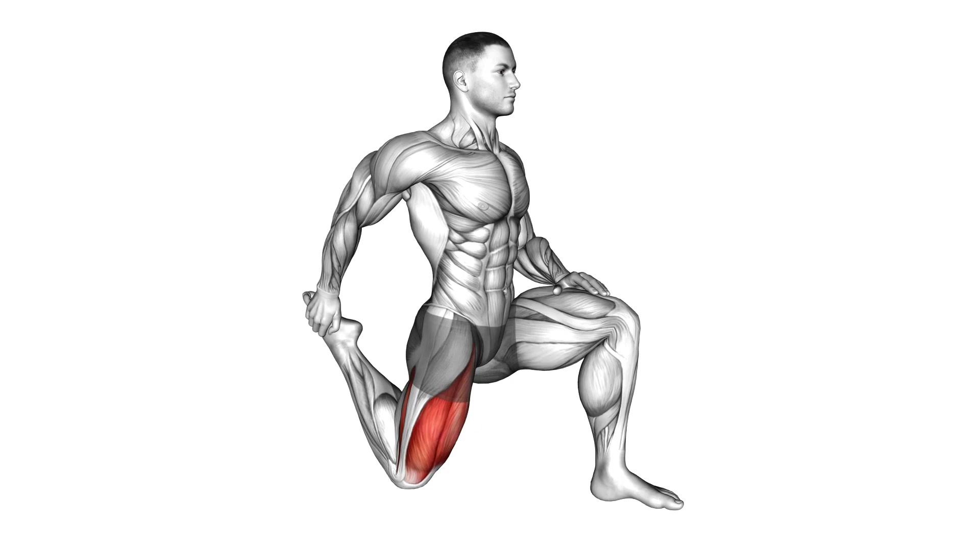 Standing Quadriceps Stretch demo