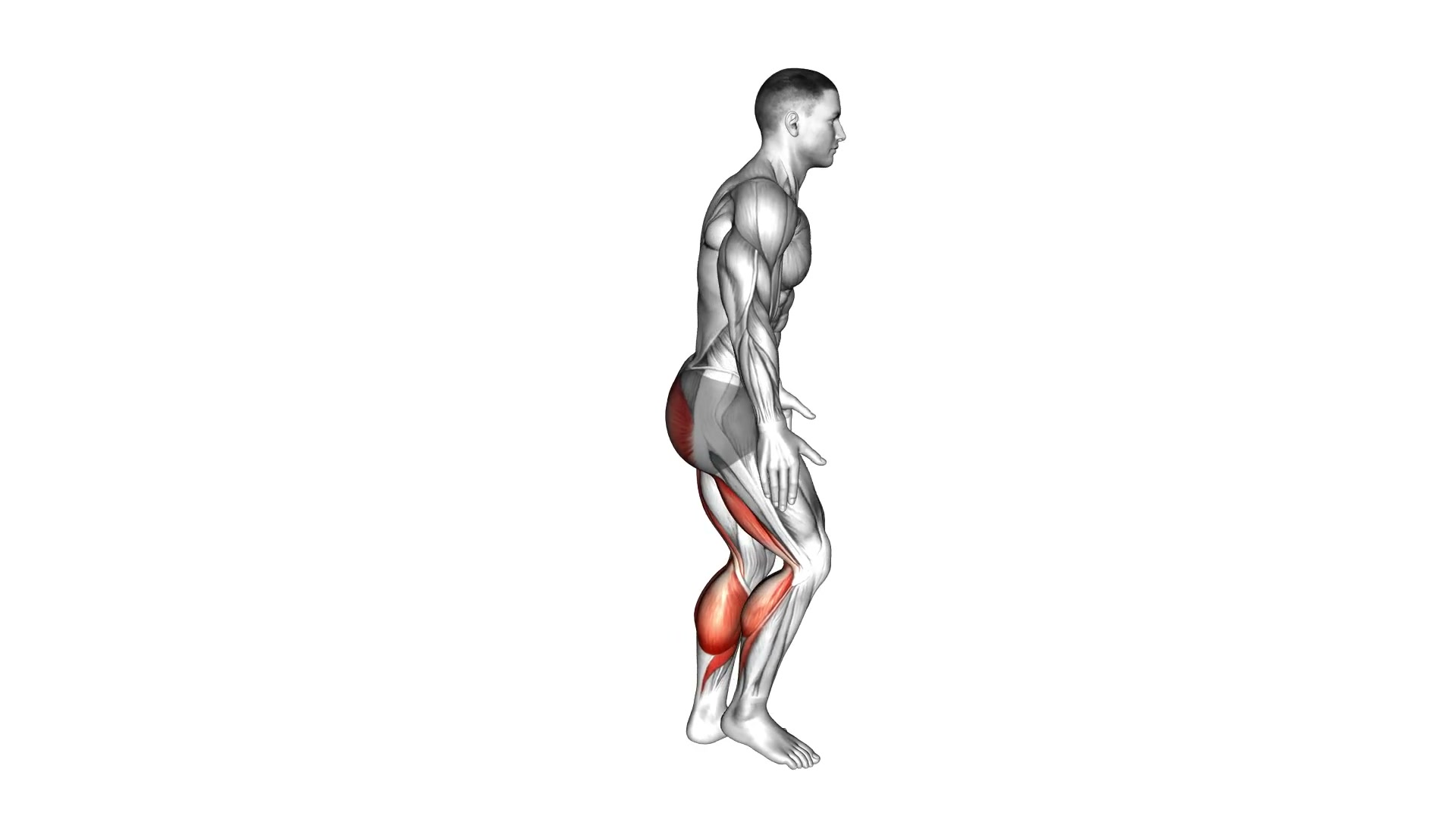 Runner's Stretch demo