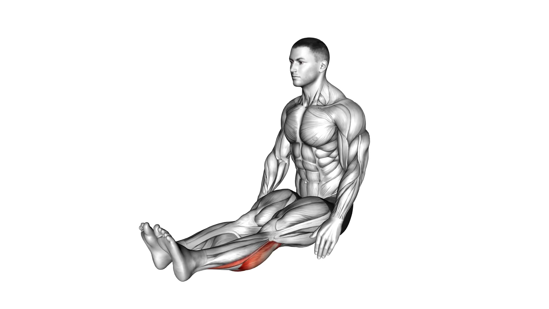 Seated Calf Stretch demo