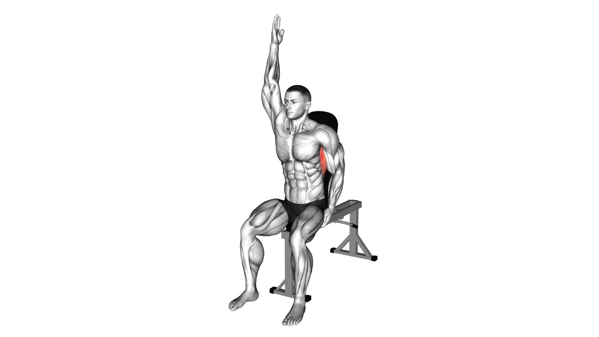 Seated Lower Back Stretch demo
