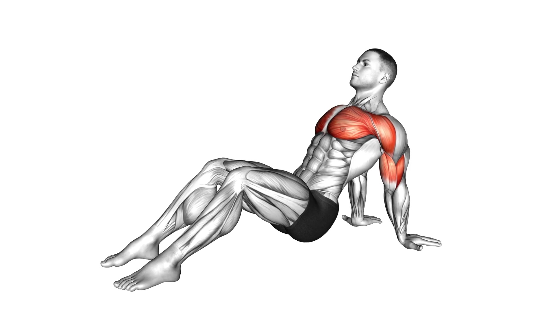 Seated Shoulder Flexor, Depressor, Retractor Stretch demo