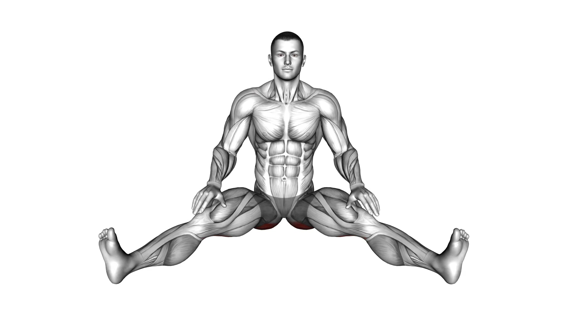 Seated Wide Angle Pose Sequence demo