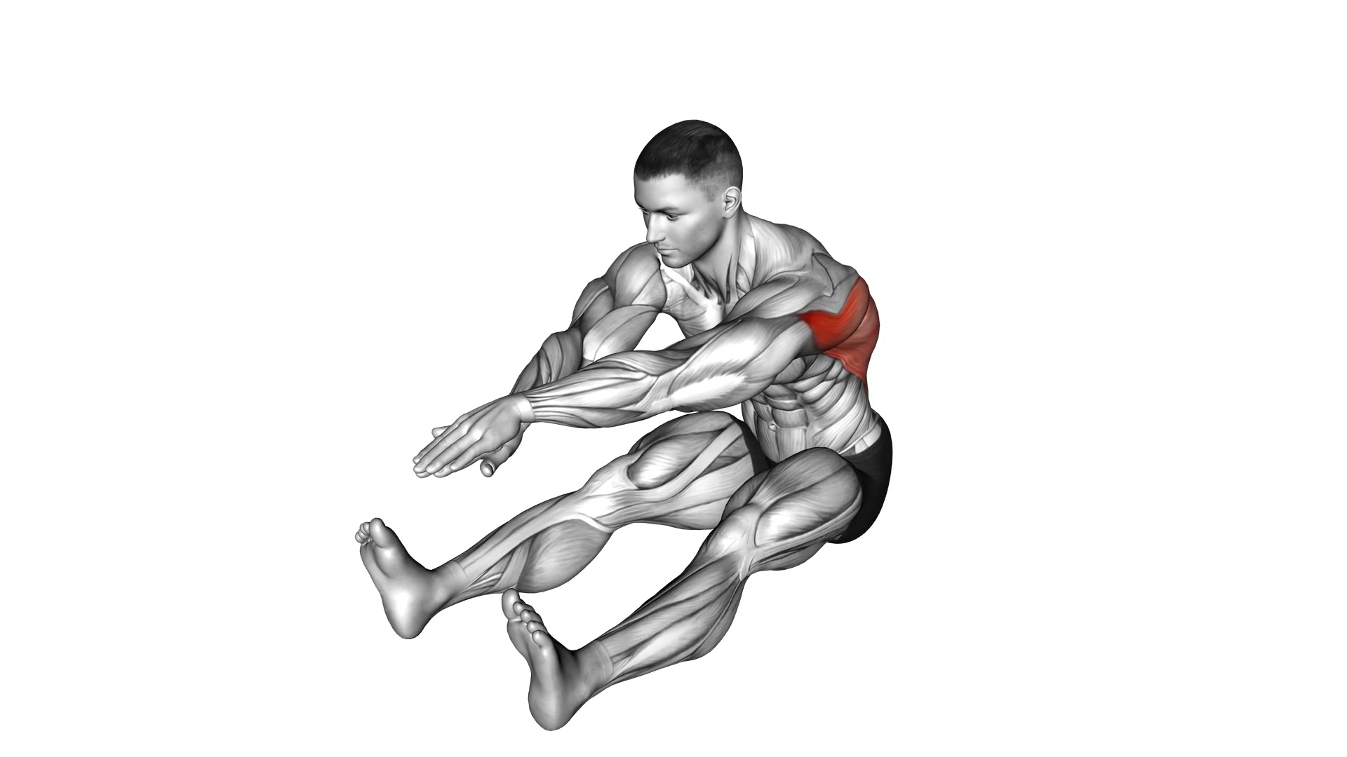 Seated Bent Over Back Stretch demo