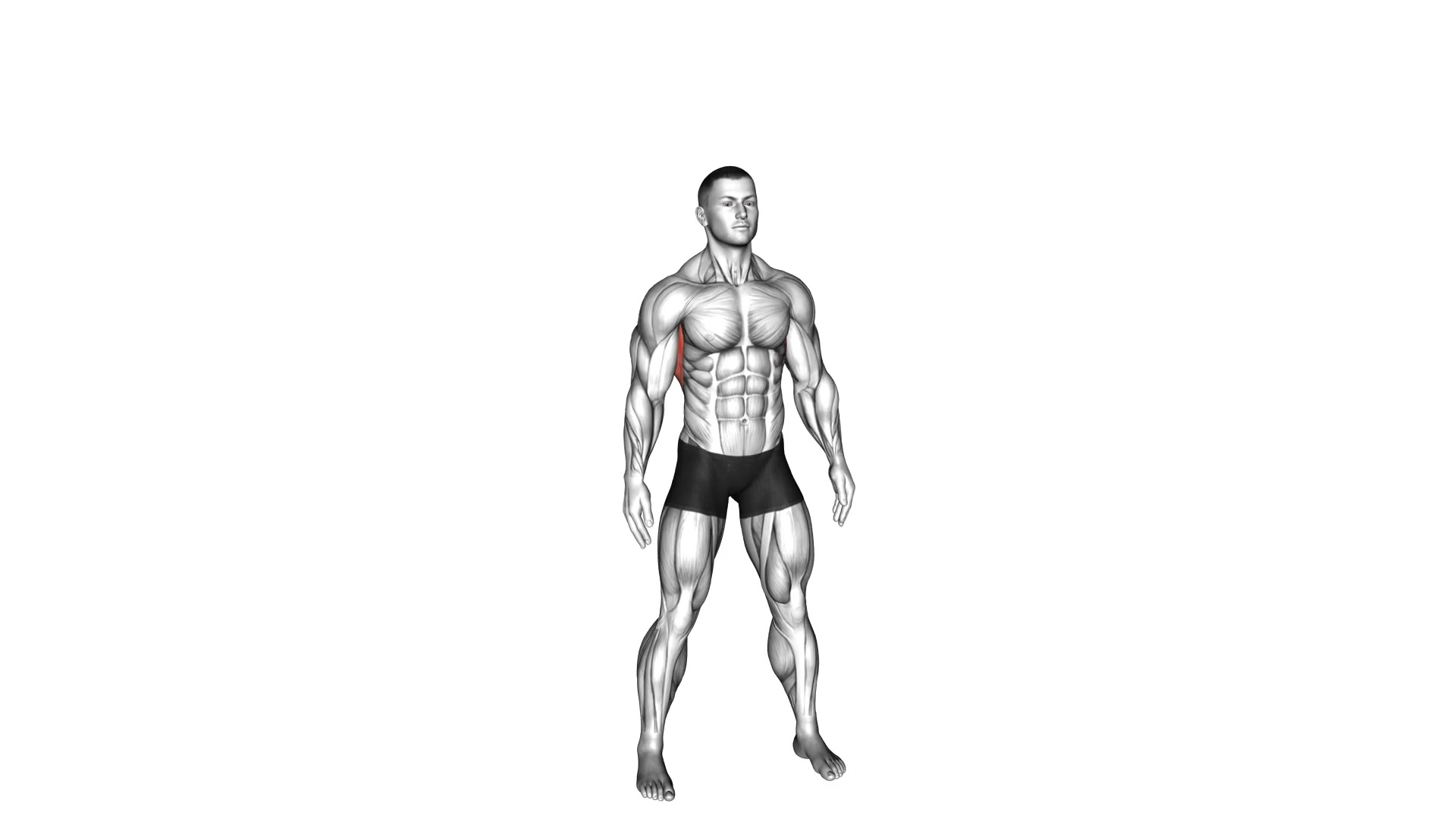 Side Bend Stretch demo