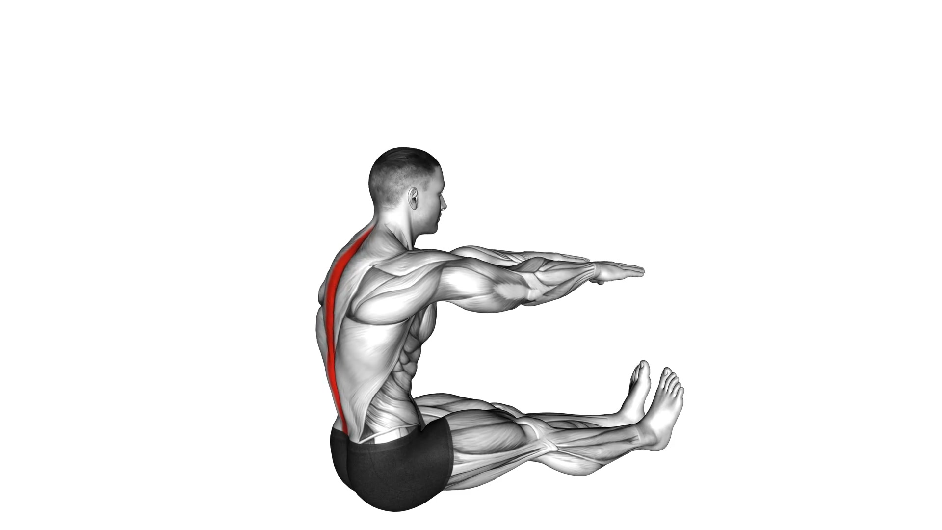 Spine Stretch demo