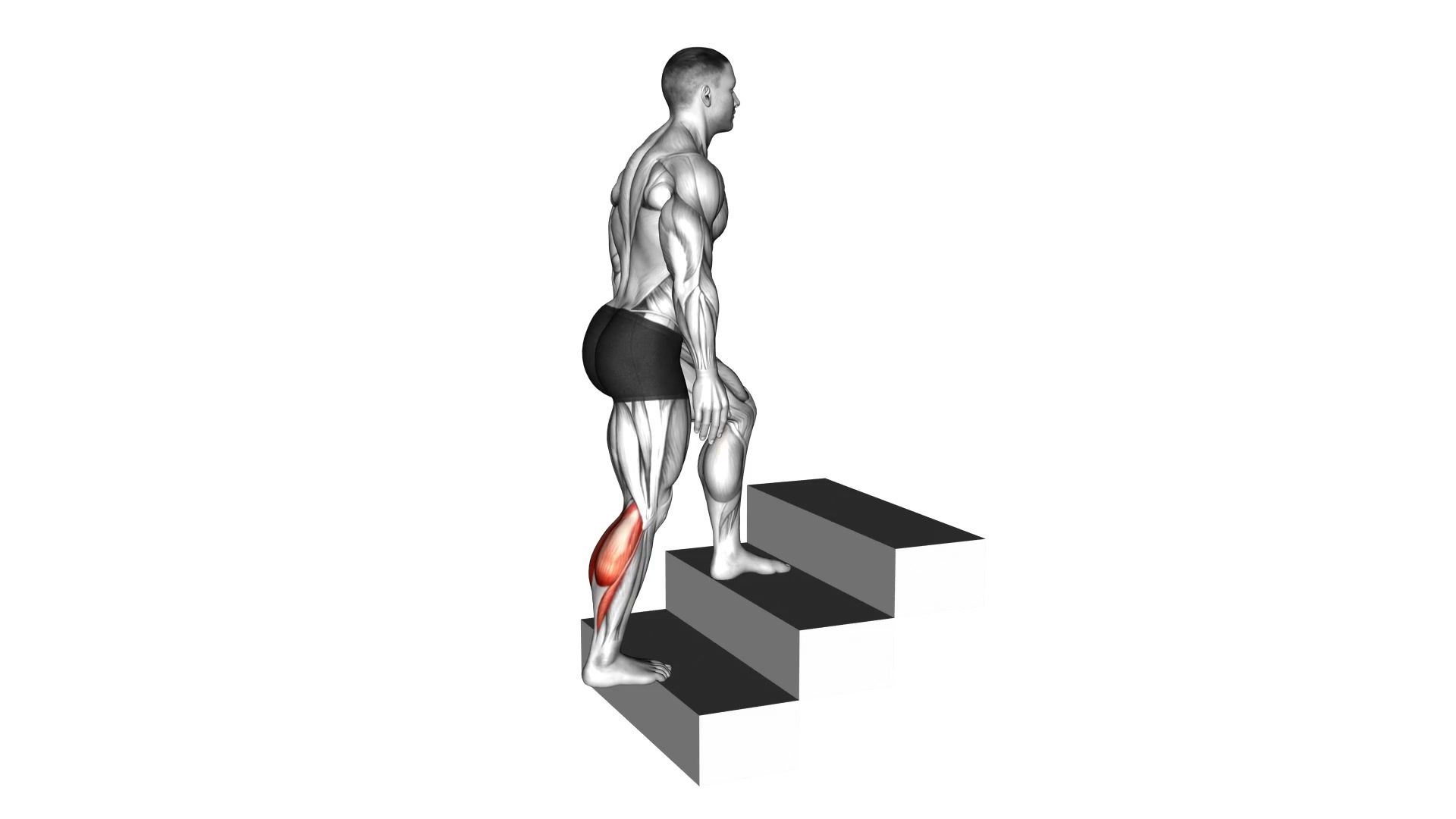 Stairs Calf Stretch demo