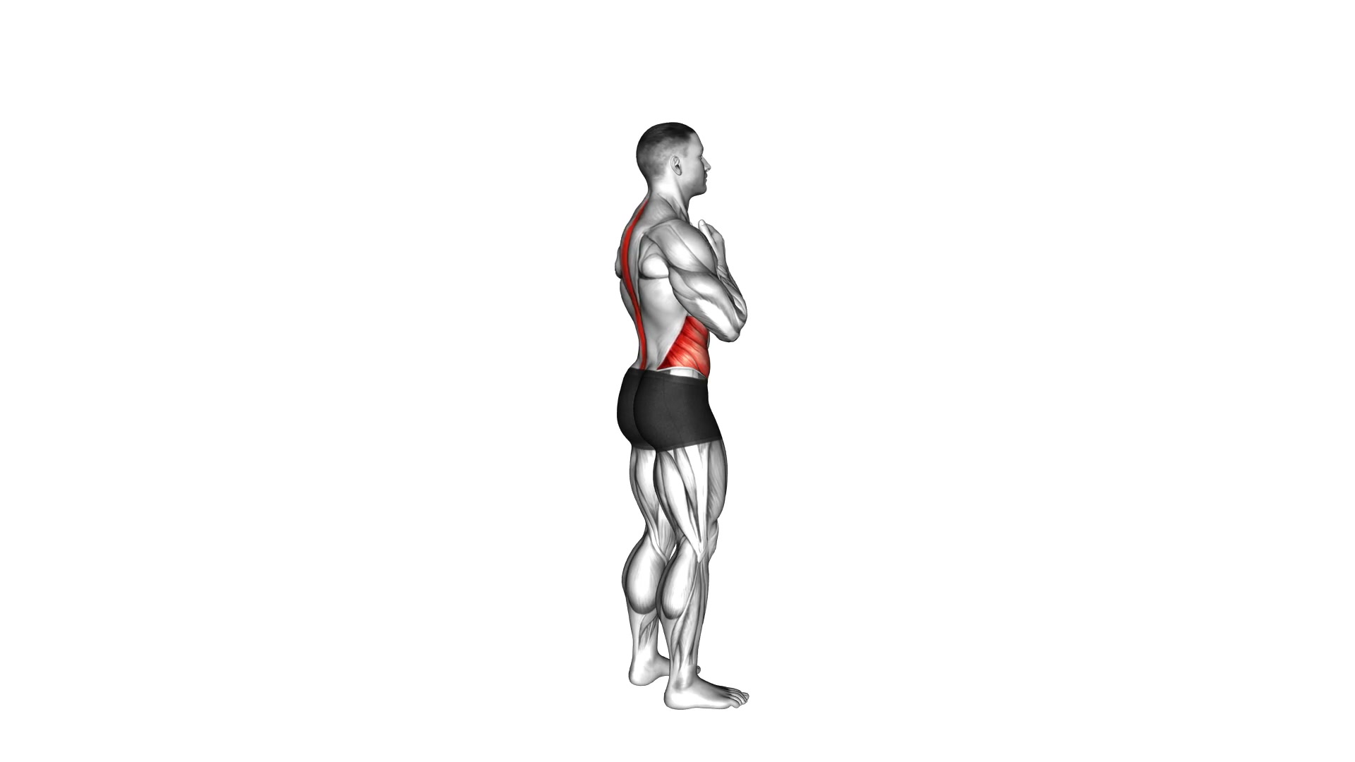 Standing Back Rotation Stretch demo