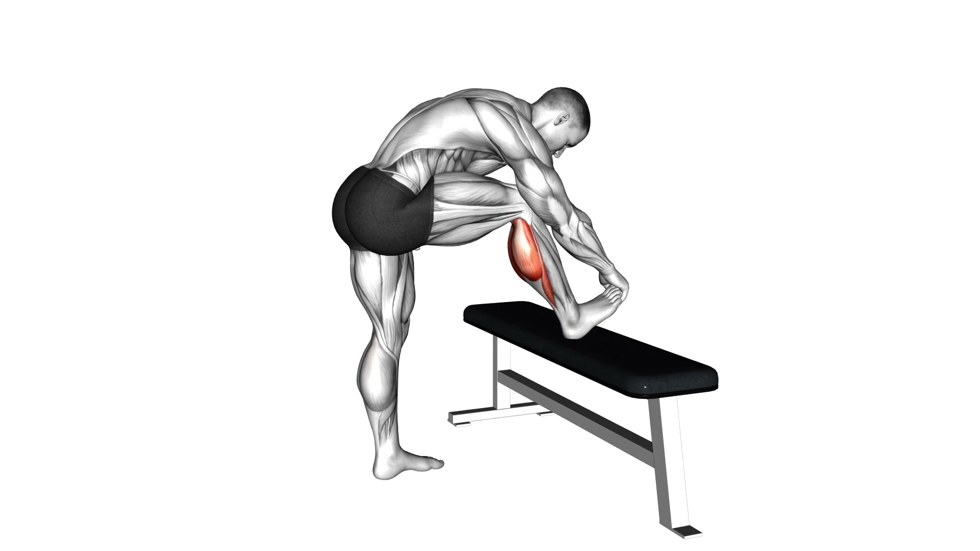 Standing Bench Calf Stretch demo