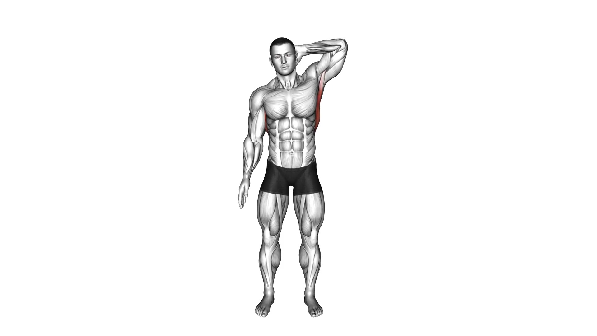 Standing Lateral Stretch demo