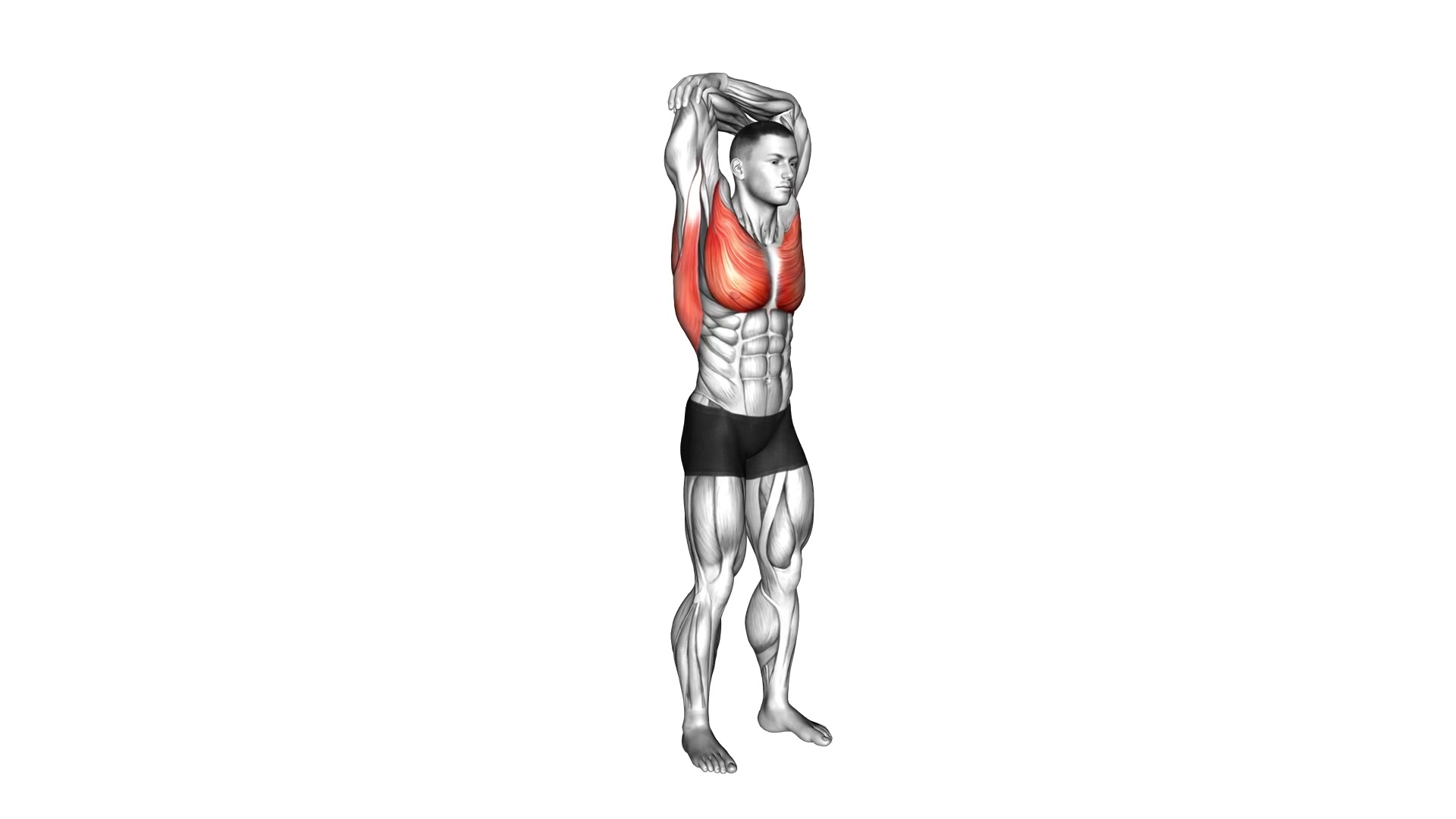 Standing Reach Up Back Rotation Stretch demo