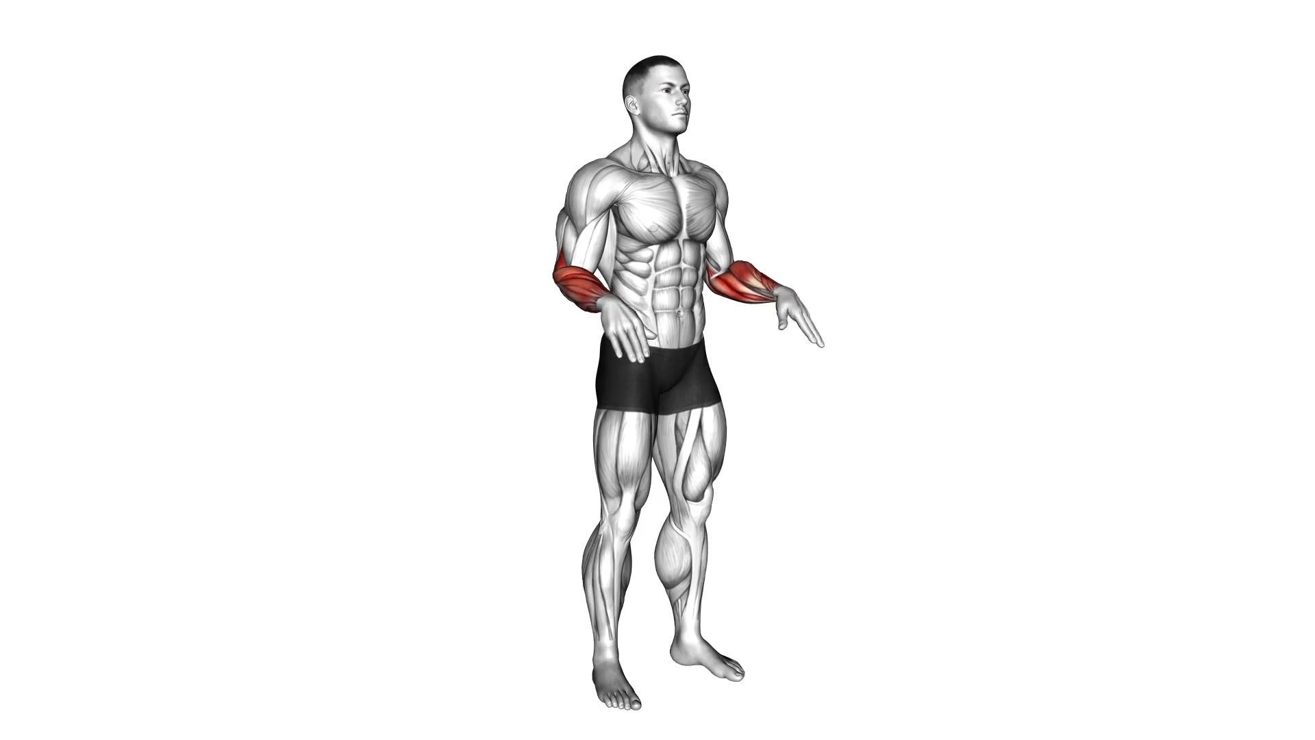 Wrist Circles demo