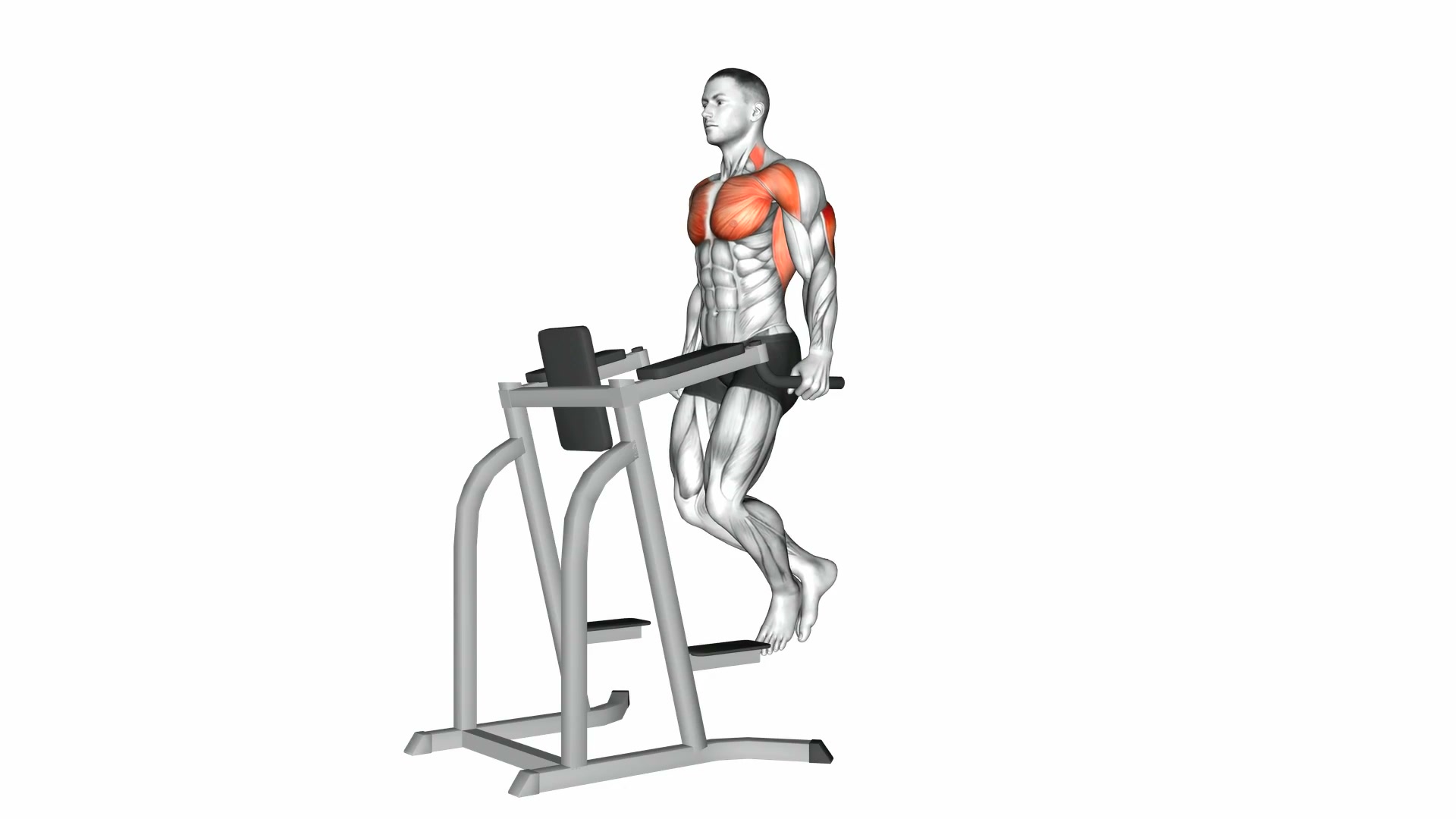 Triceps Dips demo